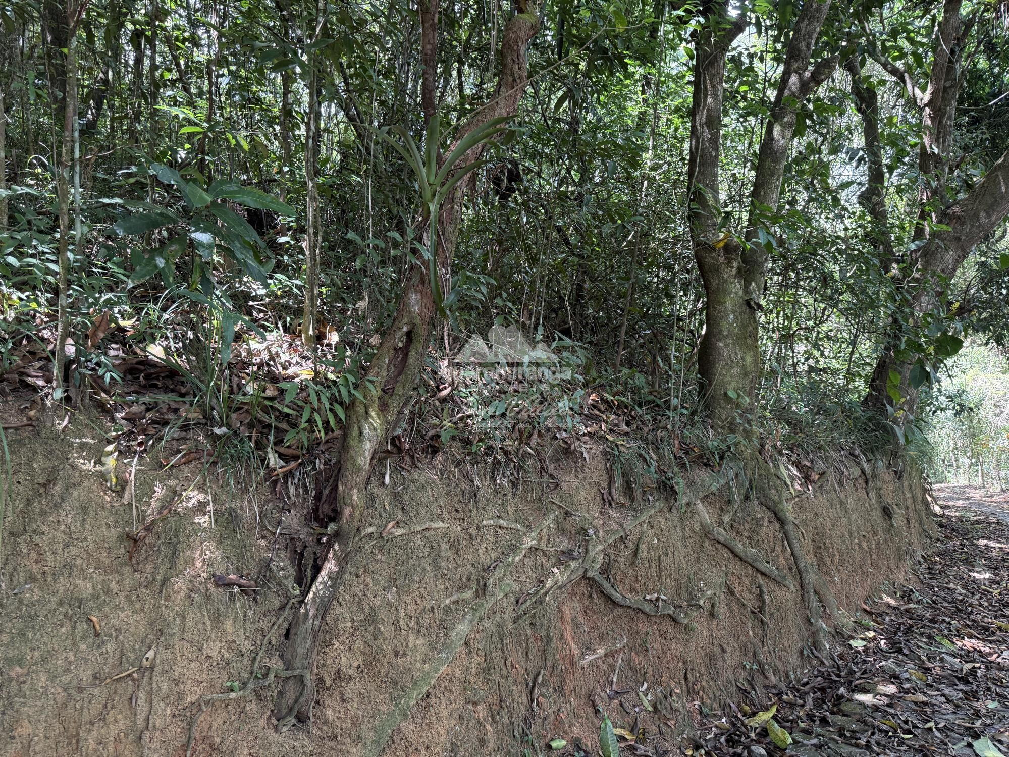 Terreno, 72 m² - Foto 4