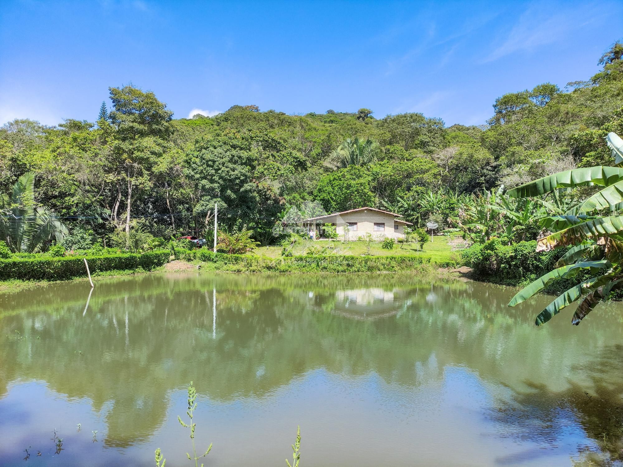 Sítio, 4 quartos, 13 hectares - Foto 22