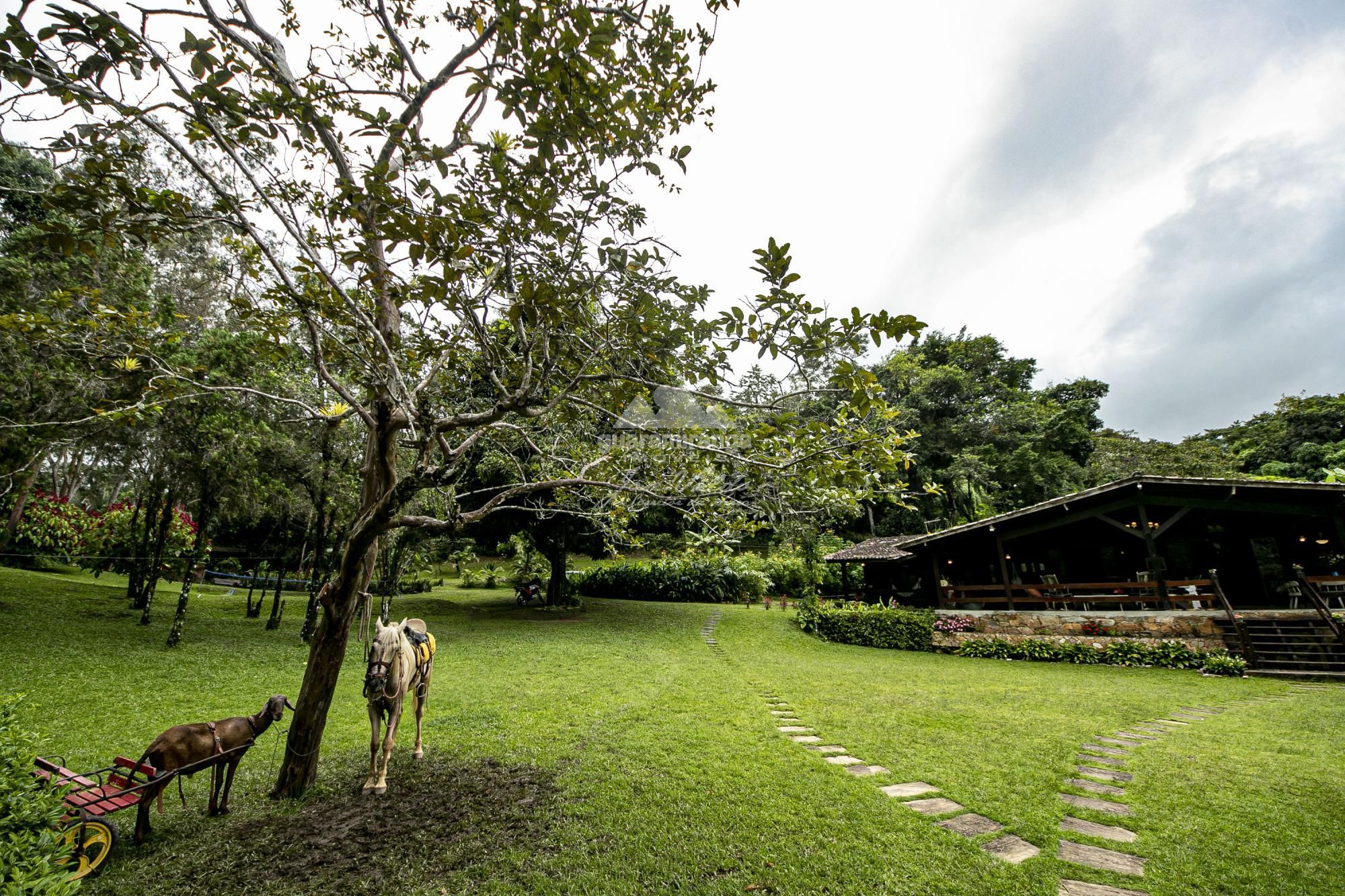 Sítio, 6 quartos, 2 hectares - Foto 18