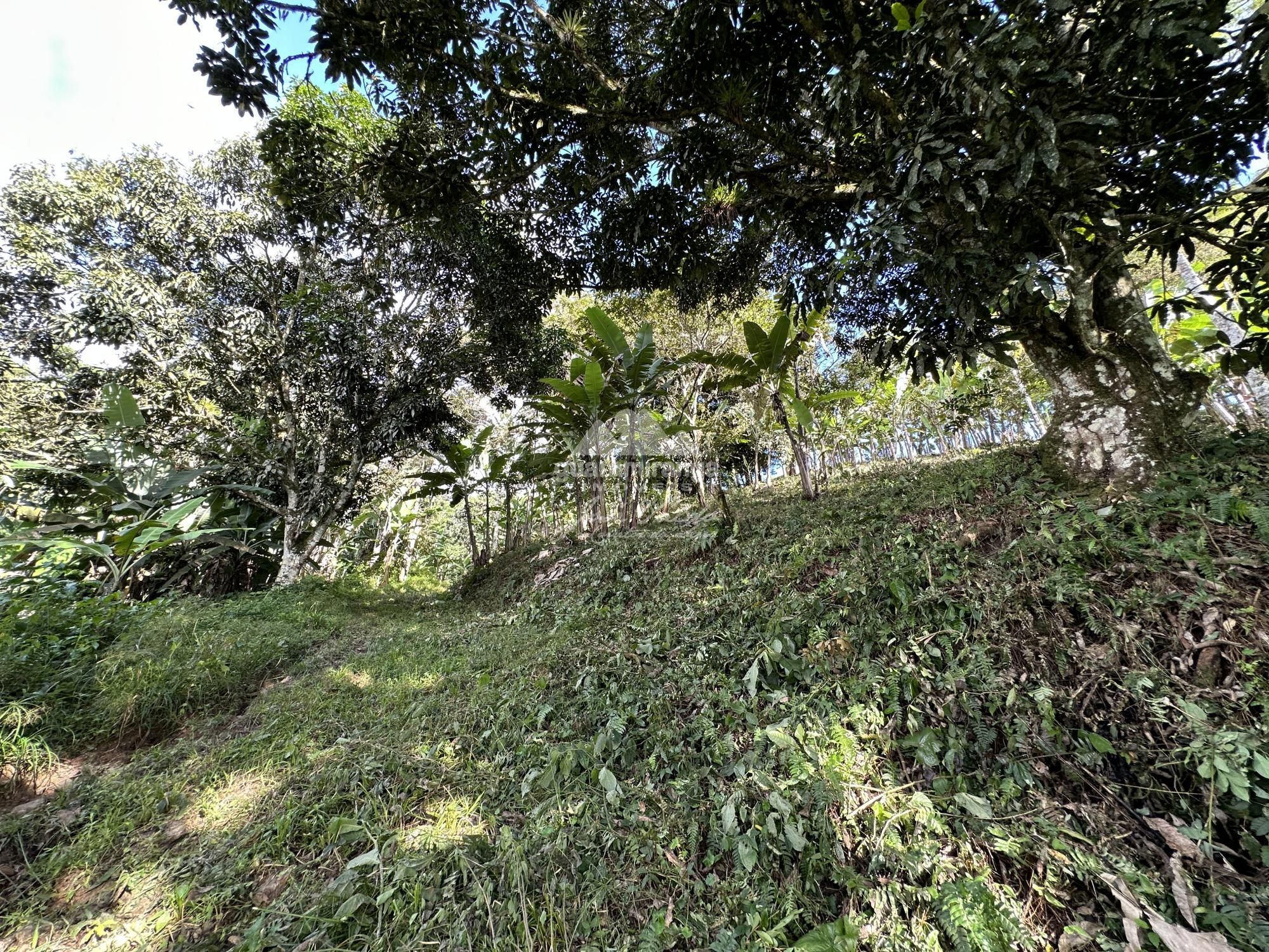 Sítio à venda com 1 quarto, 60m² - Foto 13