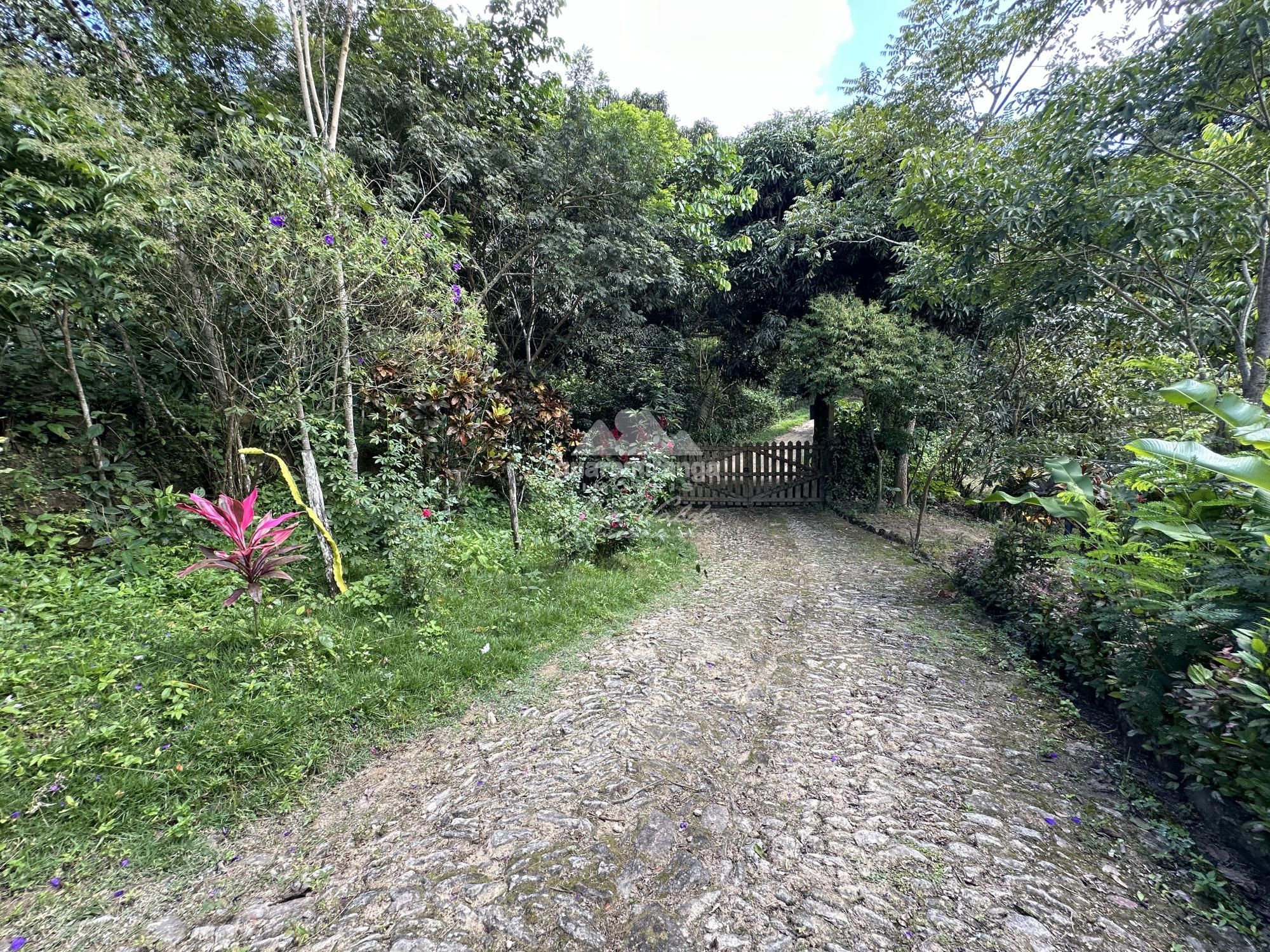 Sítio, 4 quartos, 22 hectares - Foto 39