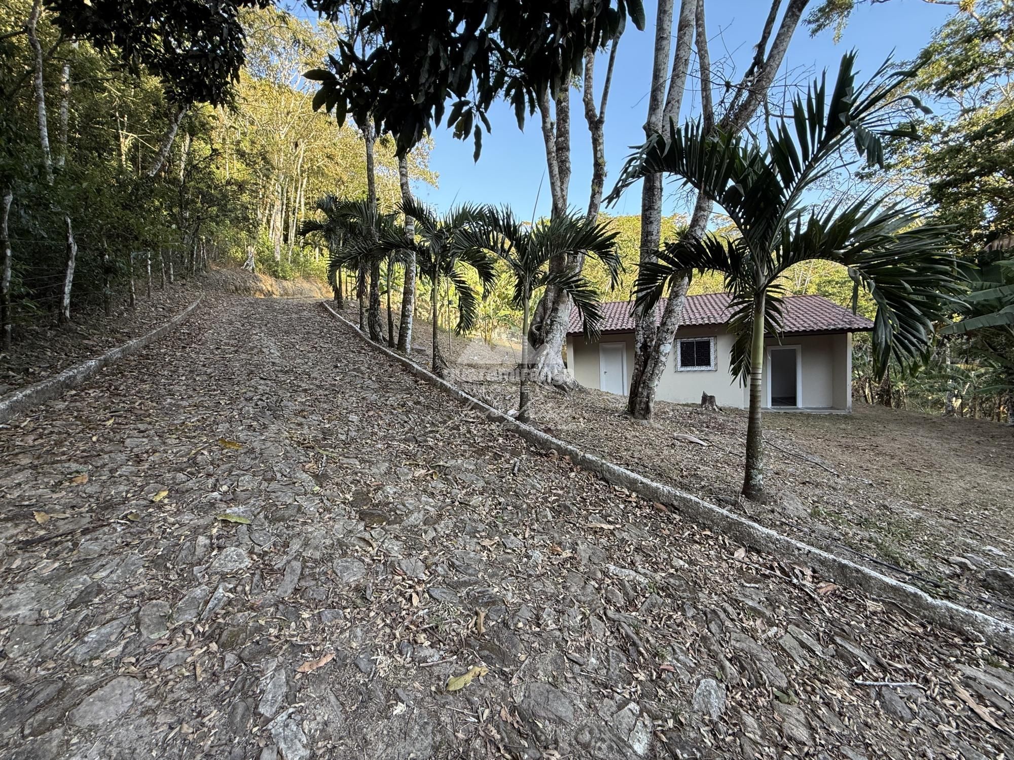 Chácara, 8 quartos, 2 hectares - Foto 52