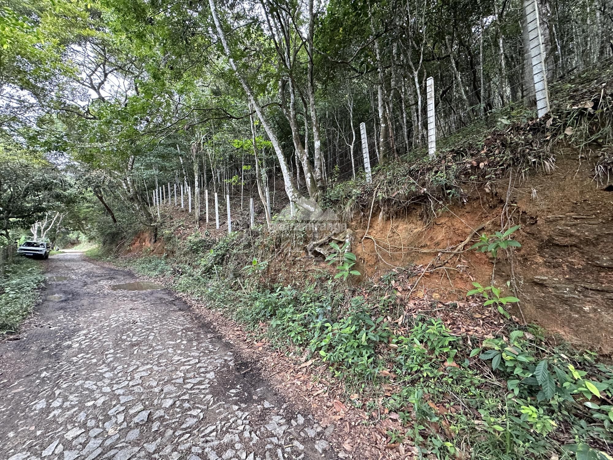 Terreno à venda, 10000m² - Foto 11
