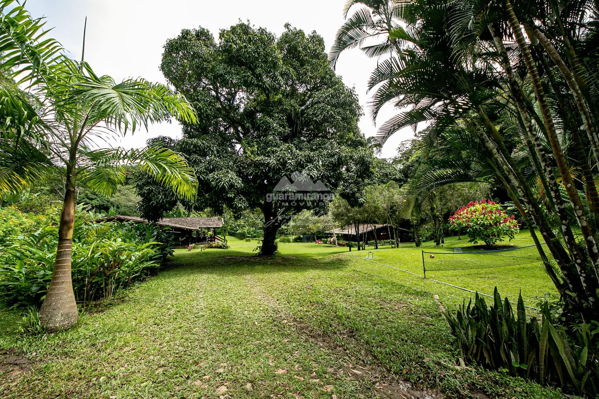 Sítio, 6 quartos, 2 hectares - Foto 13