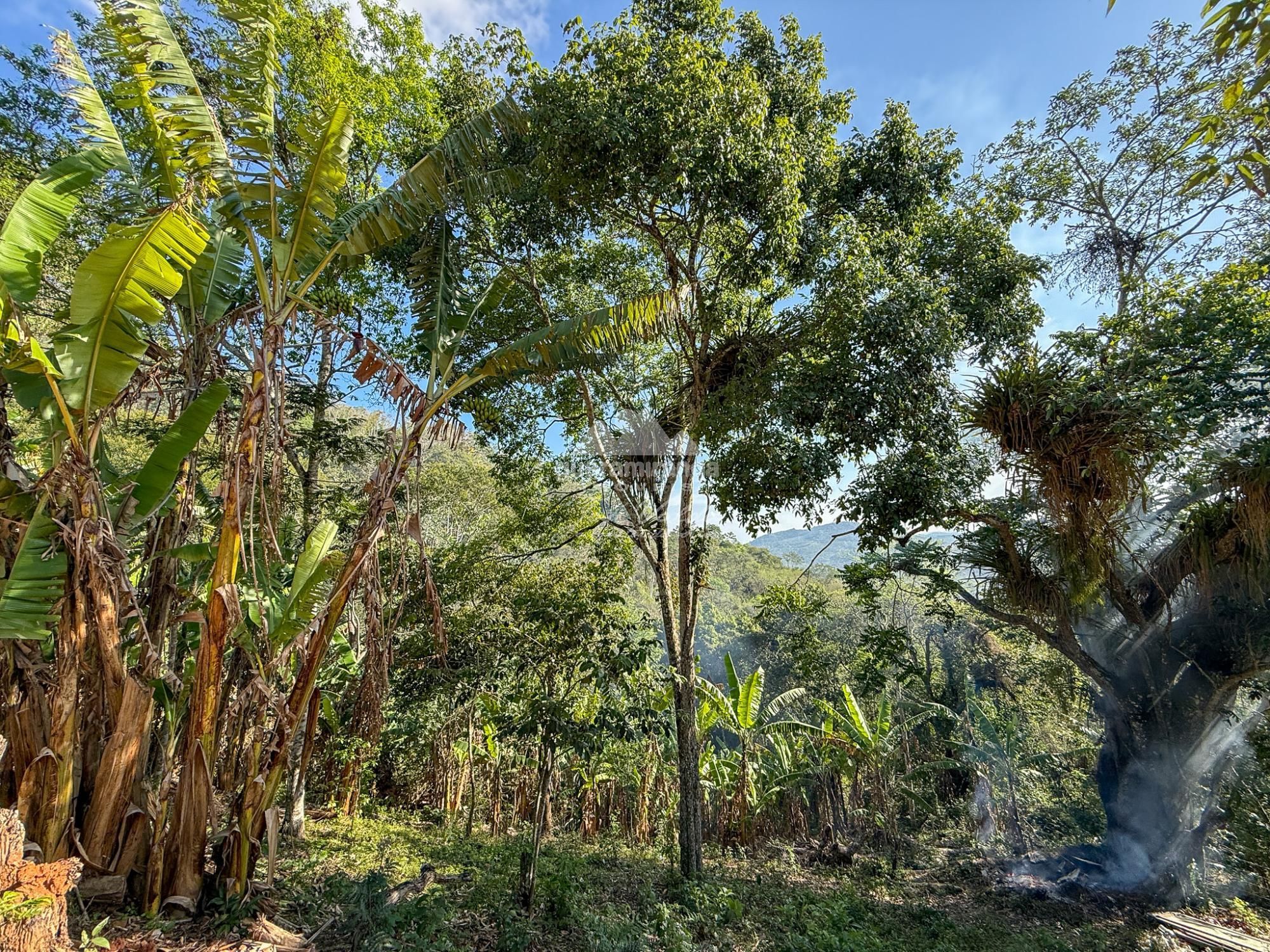 Chácara, 3 quartos, 5 hectares - Foto 13