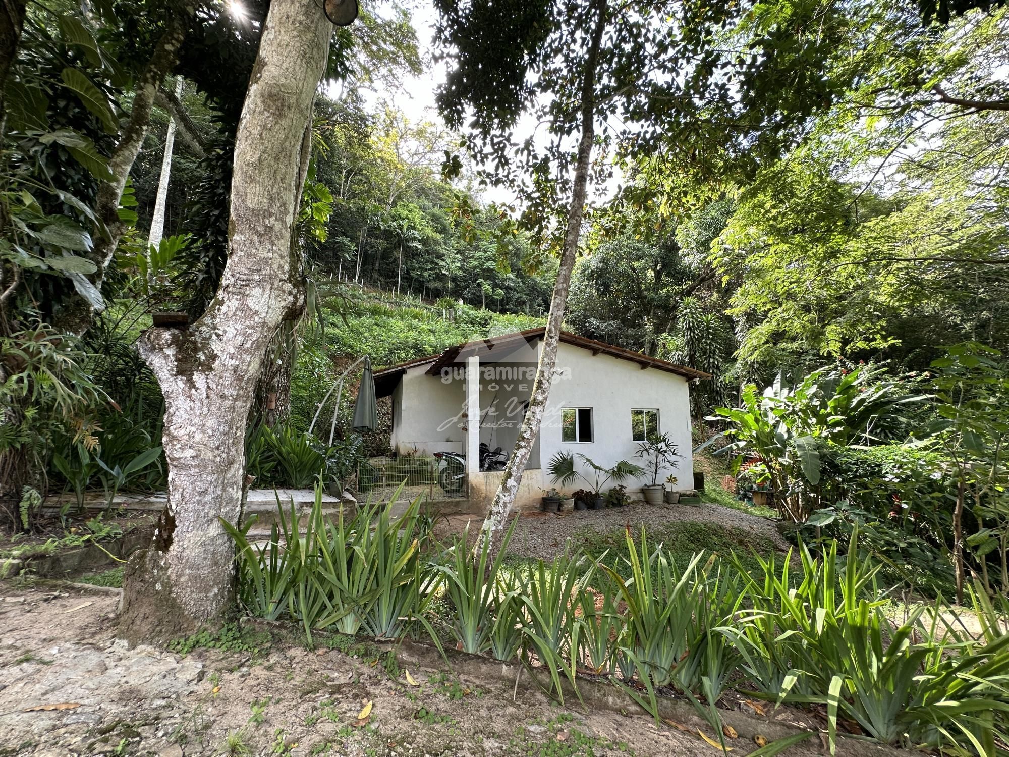 Sítio à venda com 5 quartos, 462m² - Foto 24