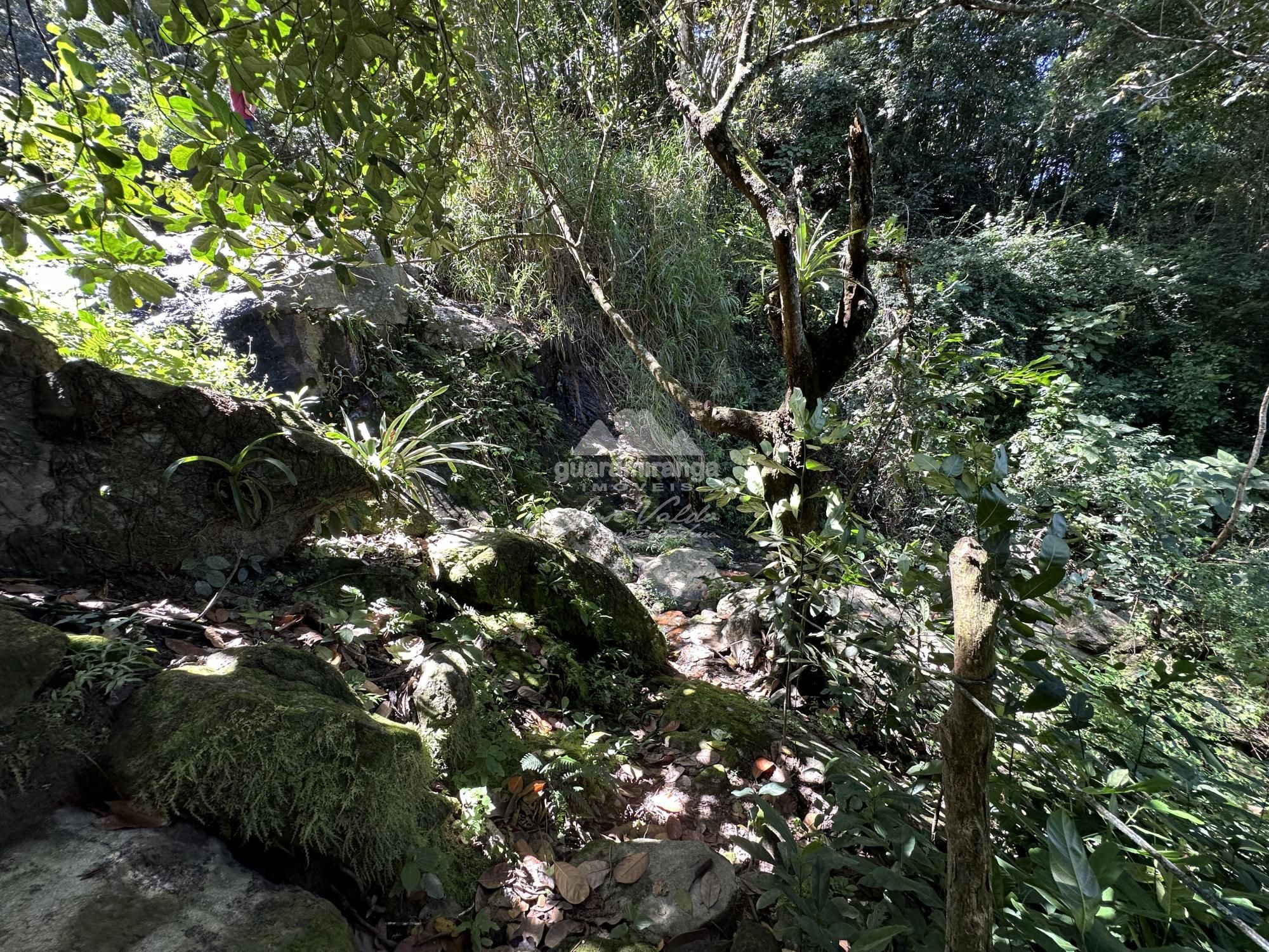 Sítio, 4 quartos, 22 hectares - Foto 48