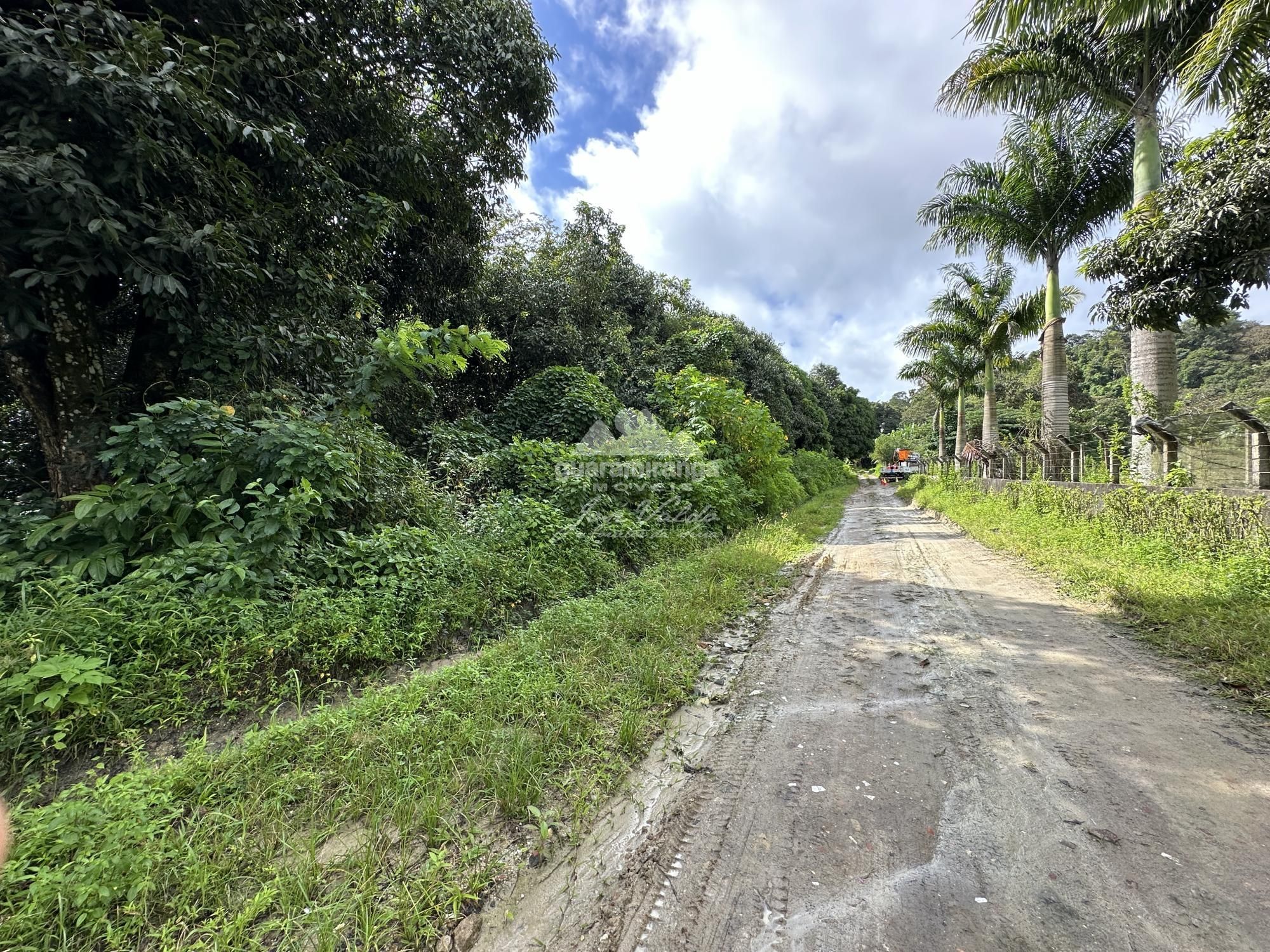 Terreno, 4 hectares - Foto 13