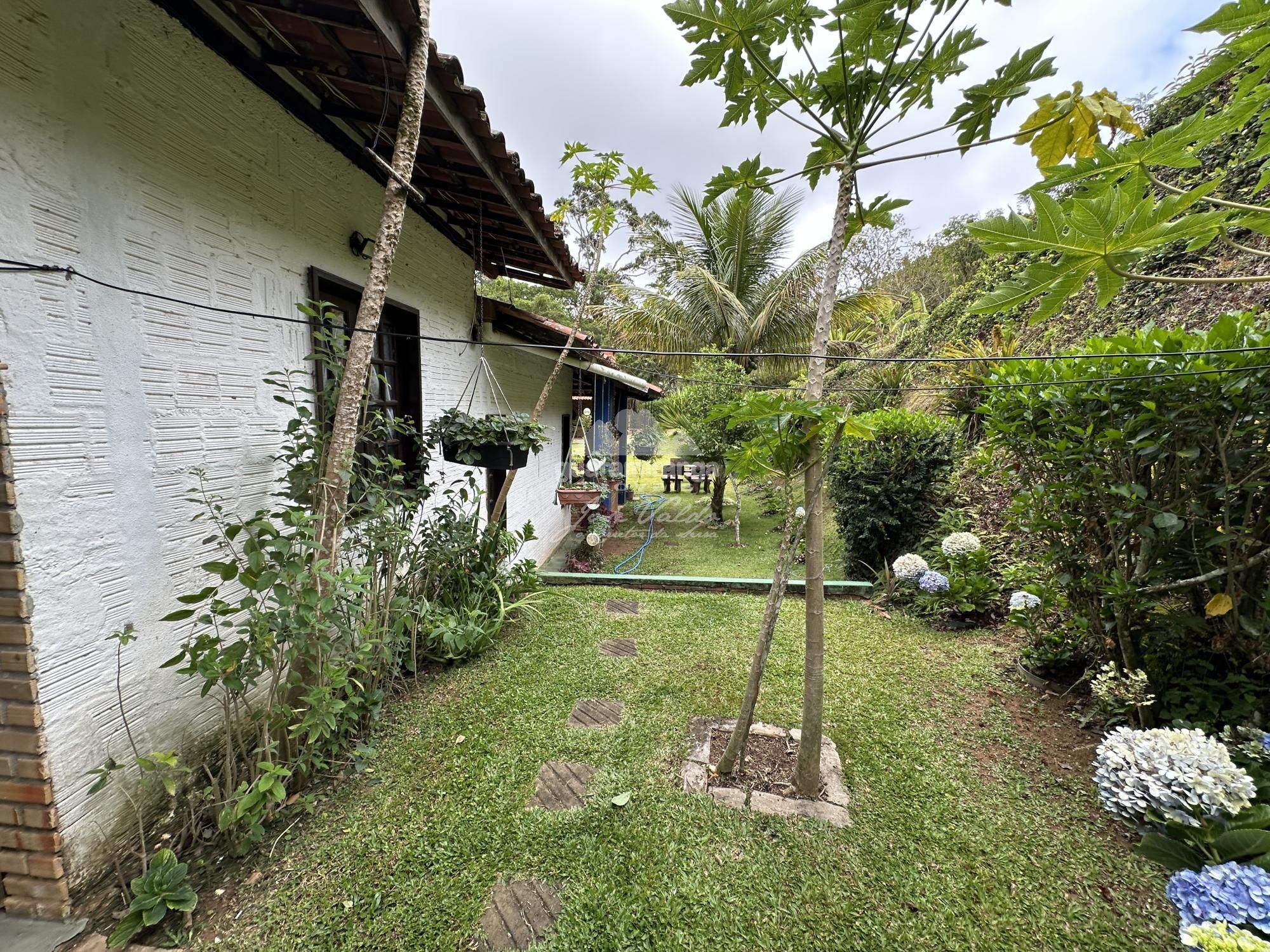 Chácara, 4 quartos, 10000 m² - Foto 40