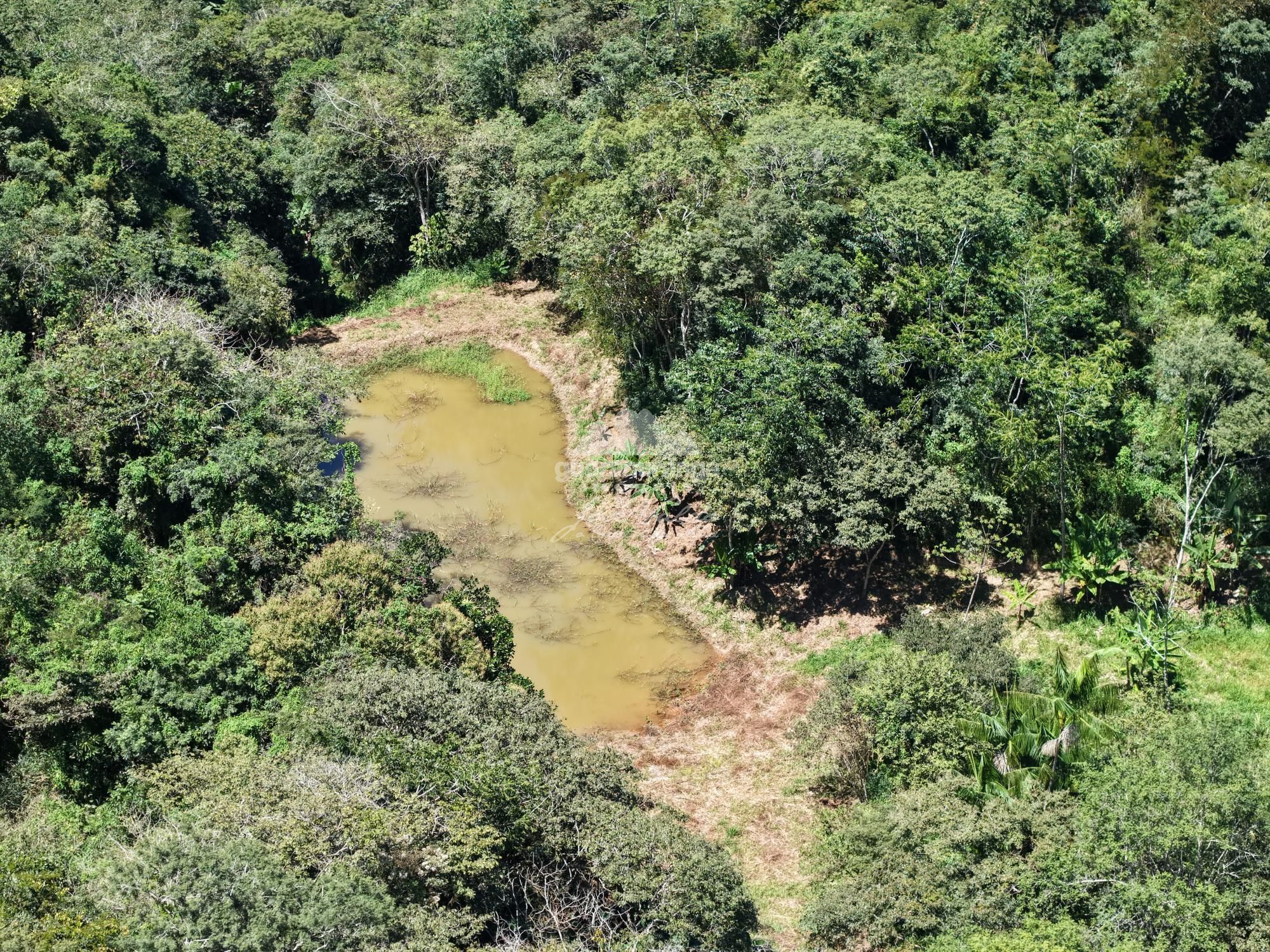 Sítio, 3 quartos, 18 hectares - Foto 21