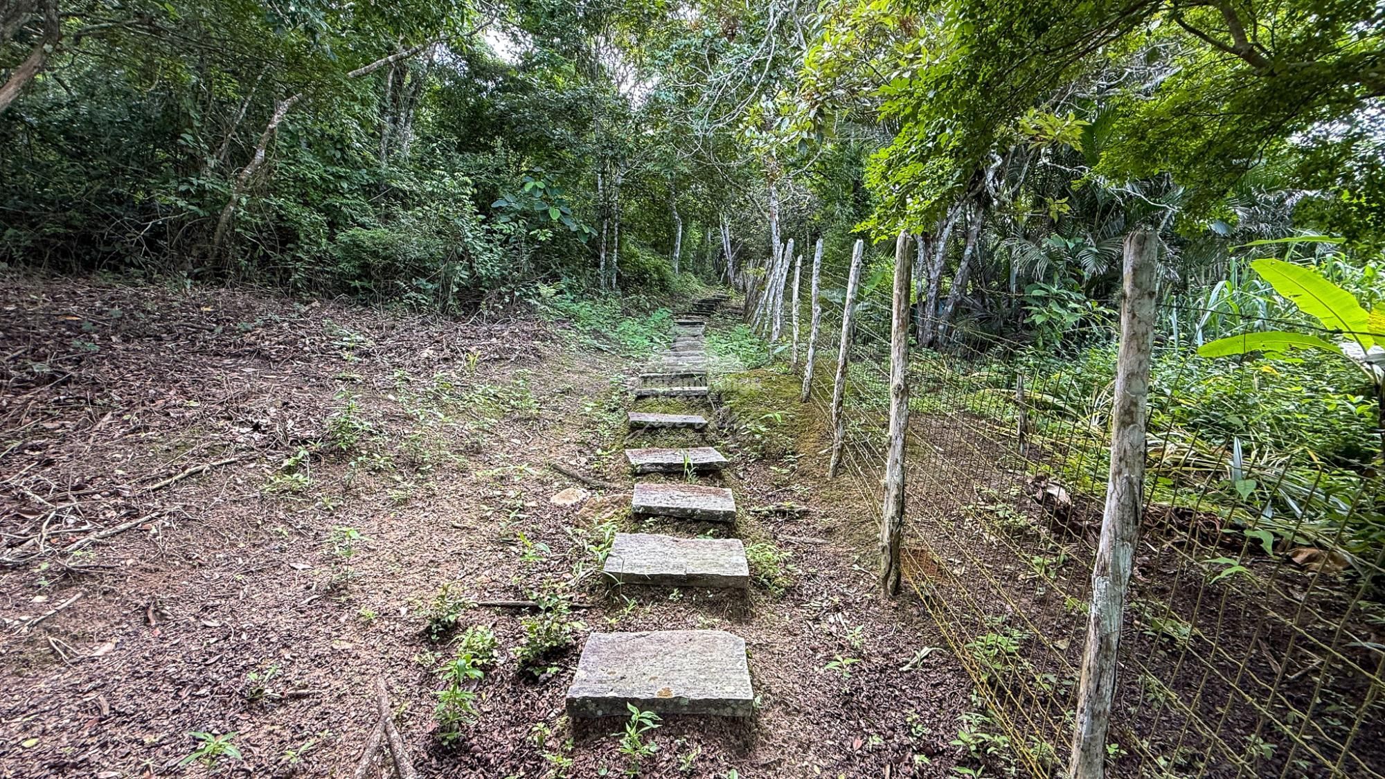 Chácara, 3 quartos, 17 m² - Foto 50