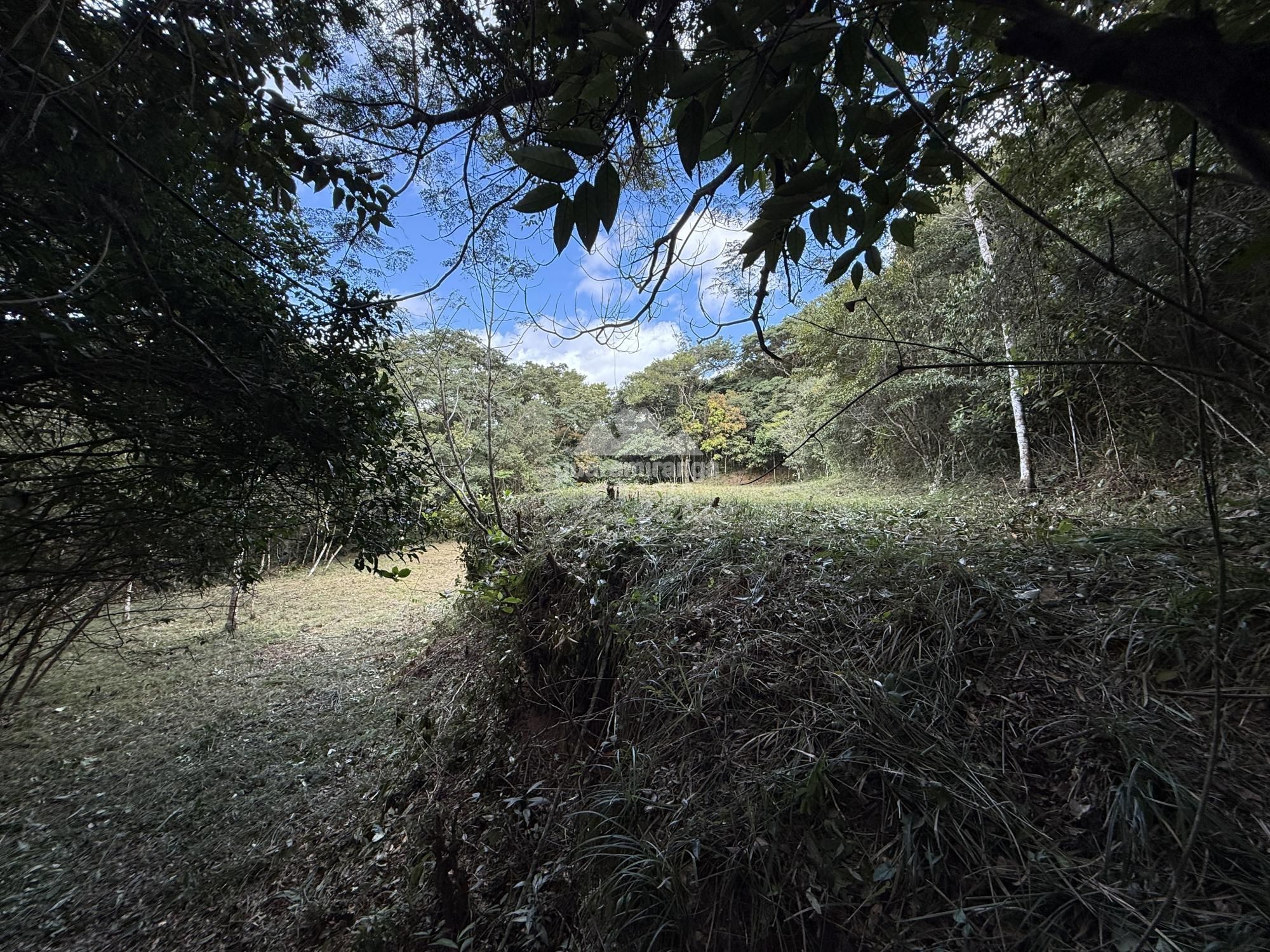 Terreno, 2 hectares - Foto 14