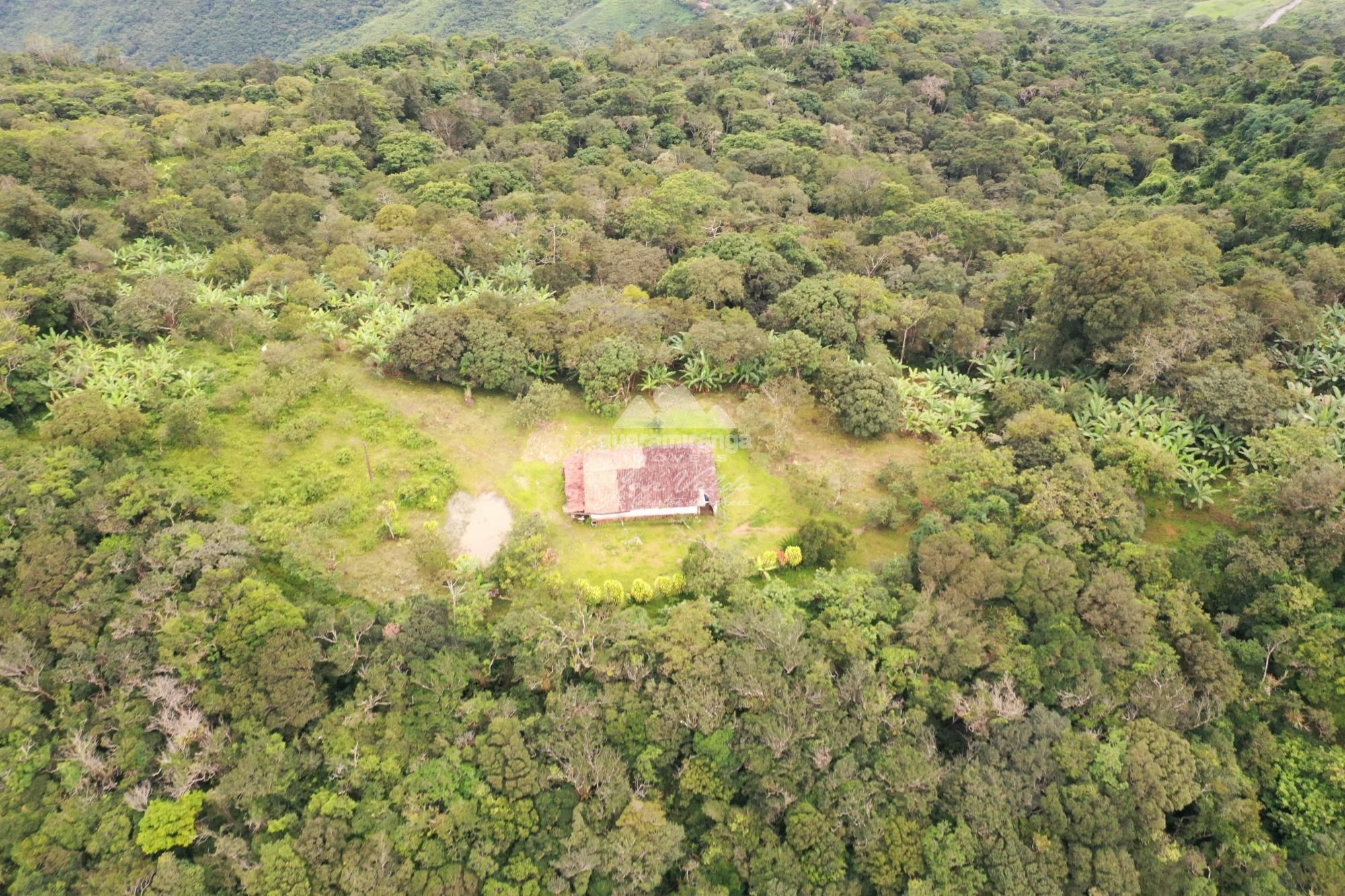 Sítio à venda com 1 quarto, 60m² - Foto 19