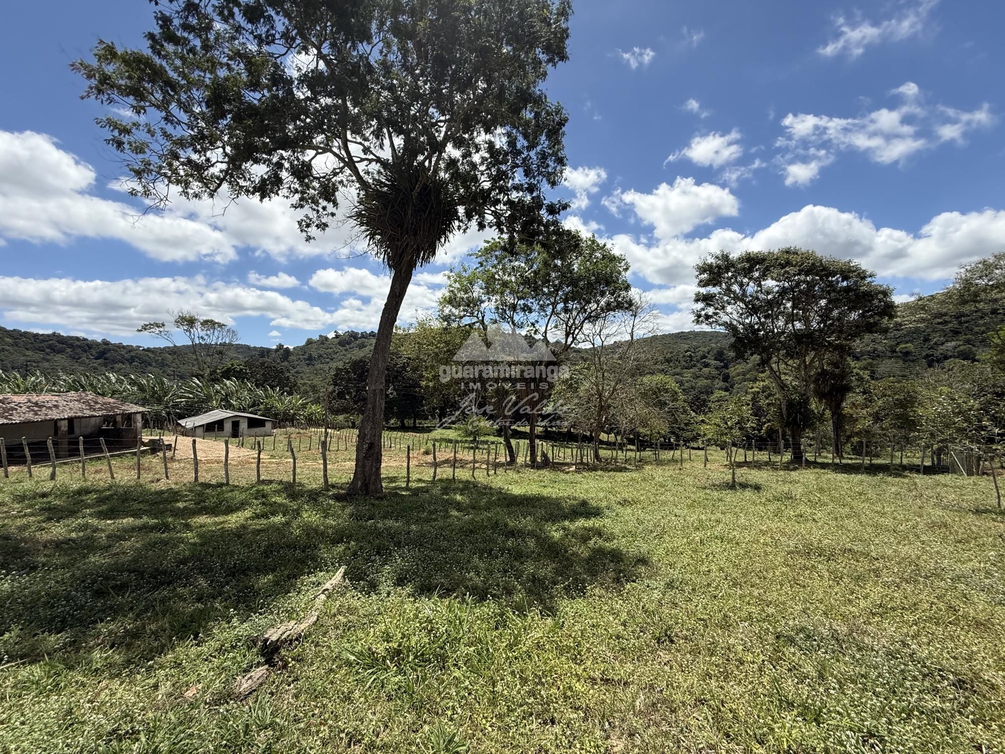 Sítio à venda com 1 quarto, 70000m² - Foto 18