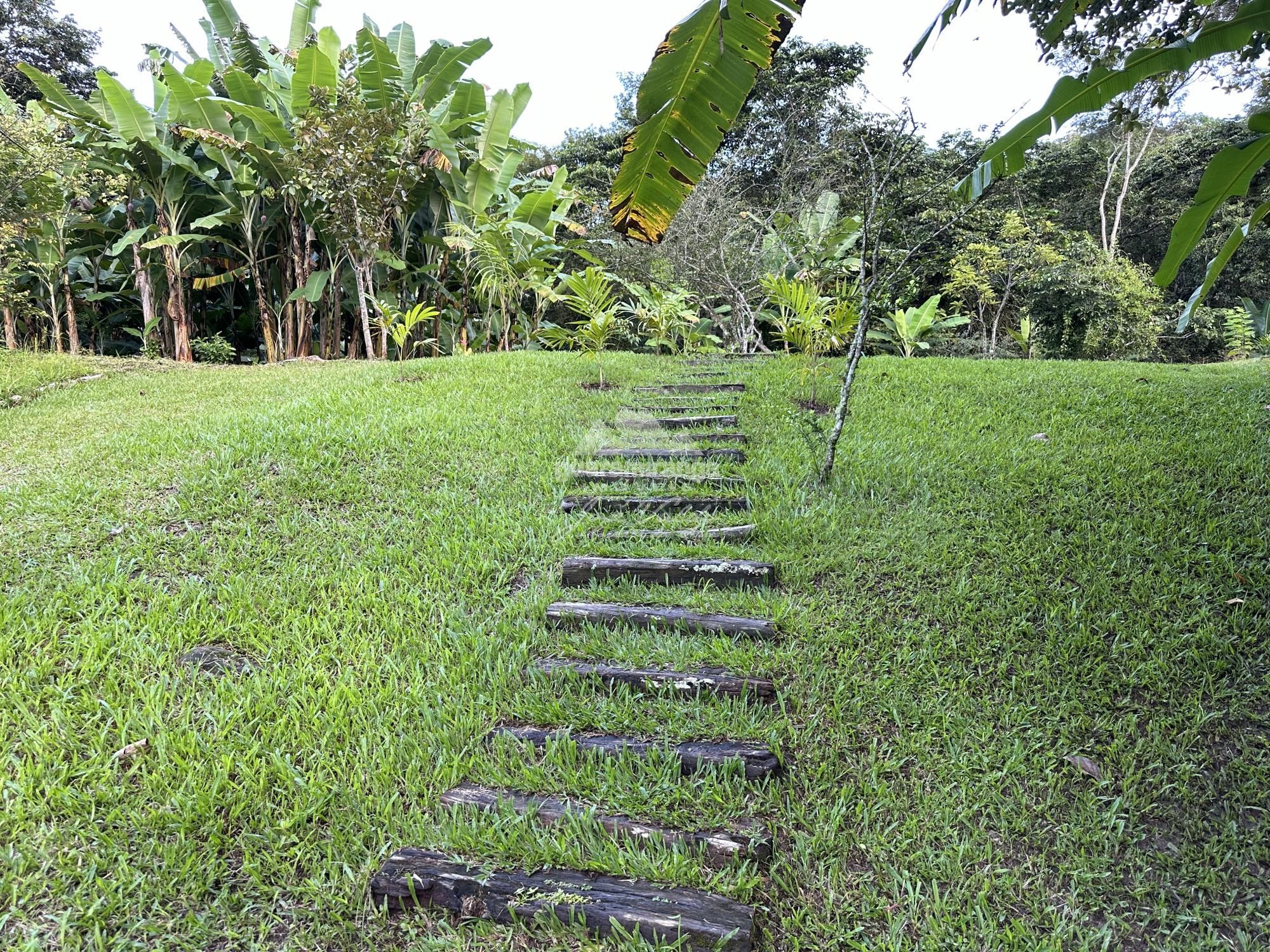Sítio à venda com 6 quartos, 30000m² - Foto 109