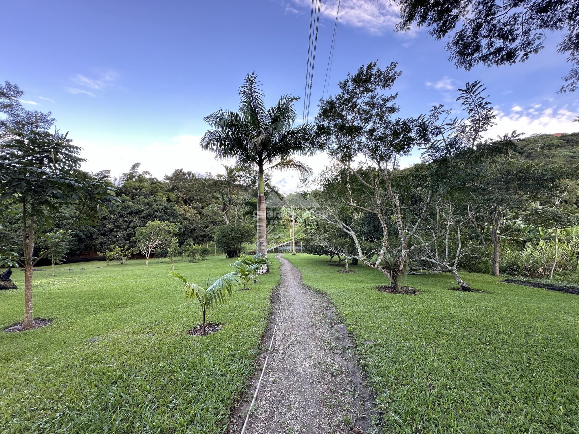 Sítio à venda com 6 quartos, 30000m² - Foto 97