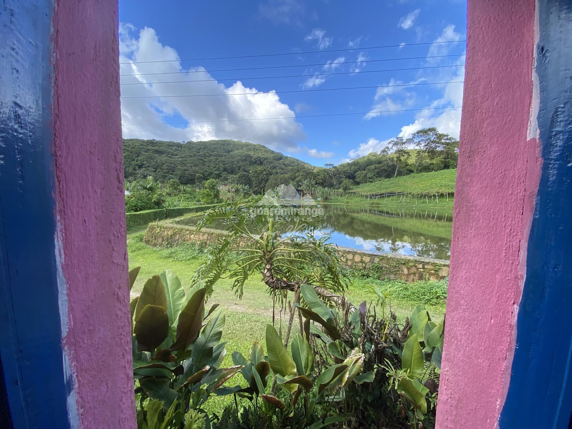 Sítio, 7 quartos, 31 hectares - Foto 50