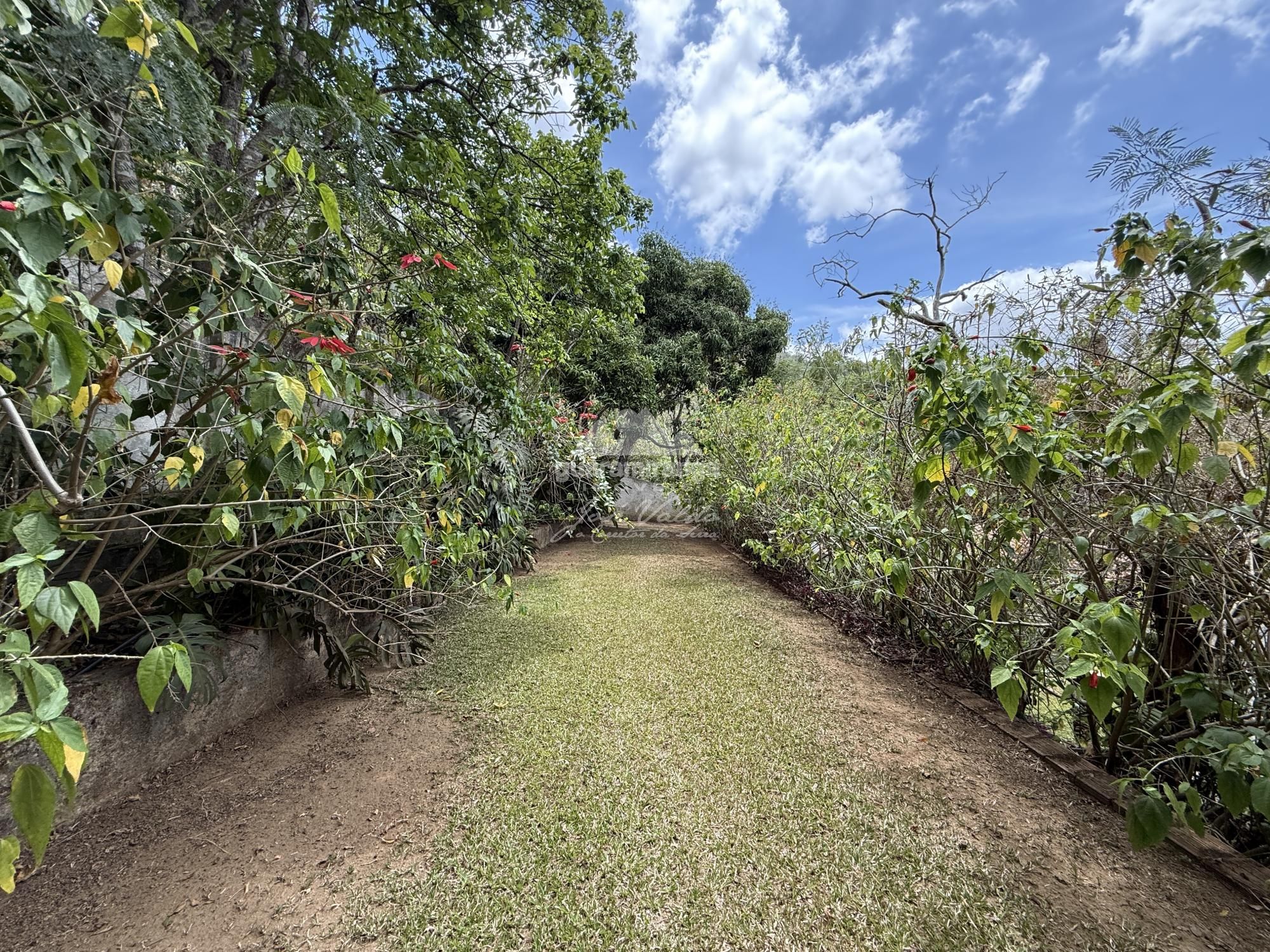 Sítio, 4 quartos, 180 m² - Foto 54