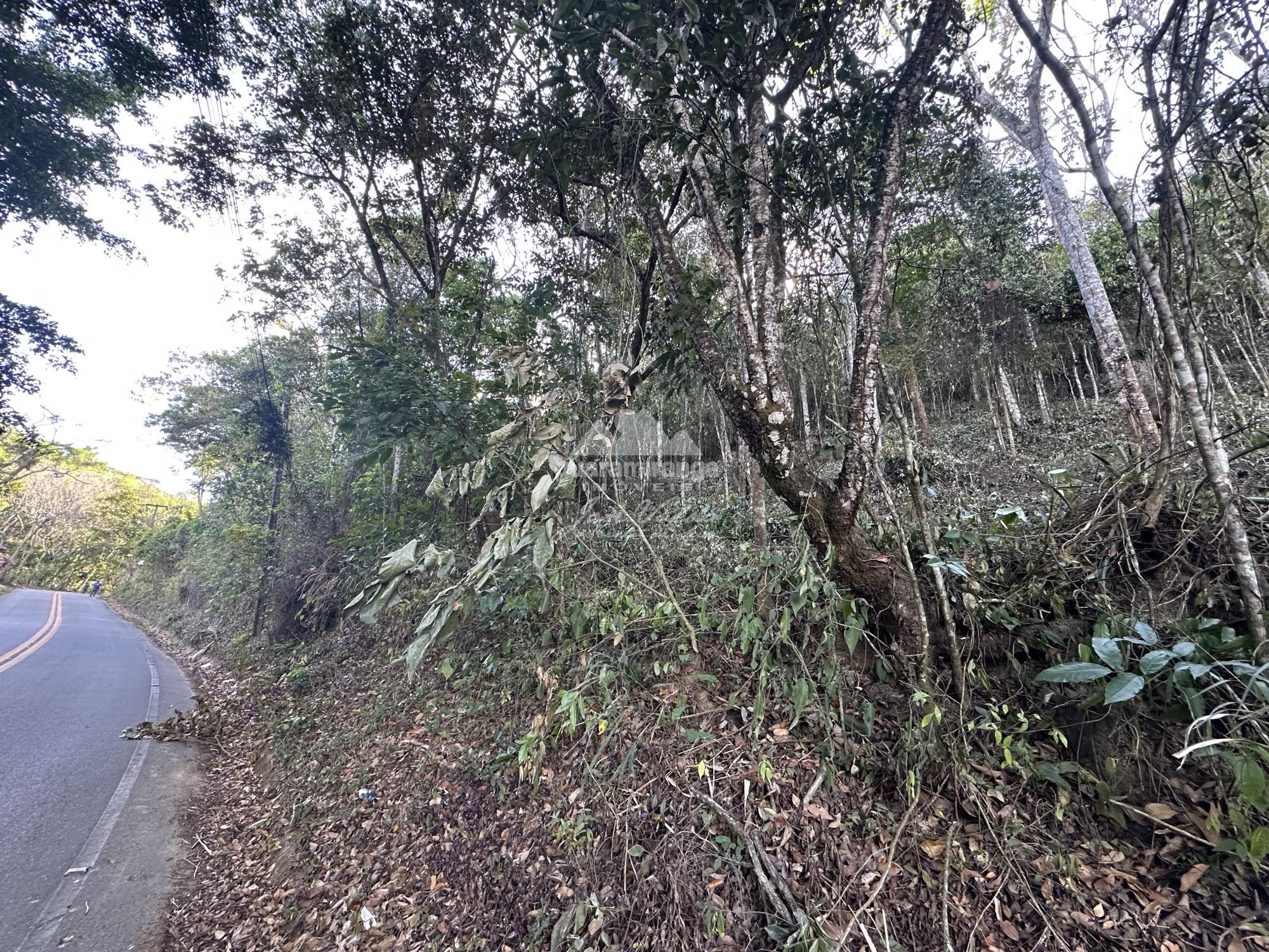 Terreno, 1074 m² - Foto 12