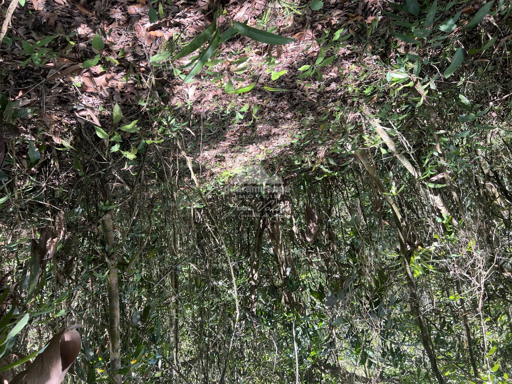 Terreno/Lote à venda, 9.271 m² por R$ 350.000,00 Terreno/Lote à venda, 9.271 m² por R$ 350.000,00