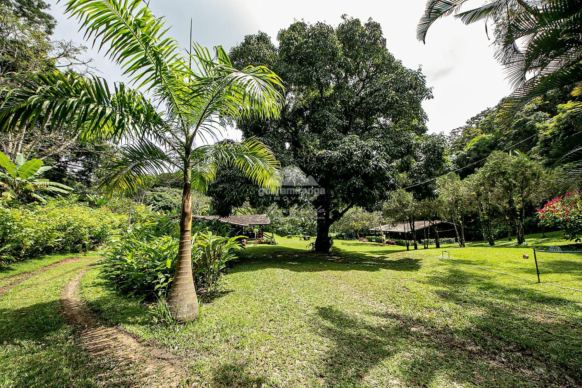 Sítio, 6 quartos, 2 hectares - Foto 14