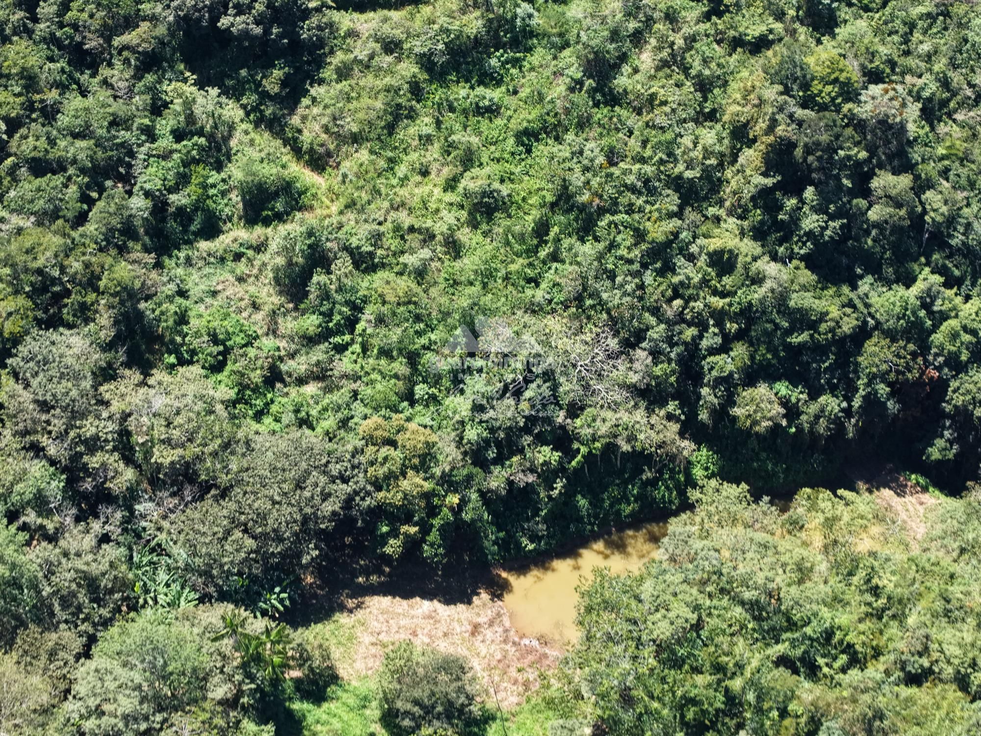 Sítio, 3 quartos, 18 hectares - Foto 20