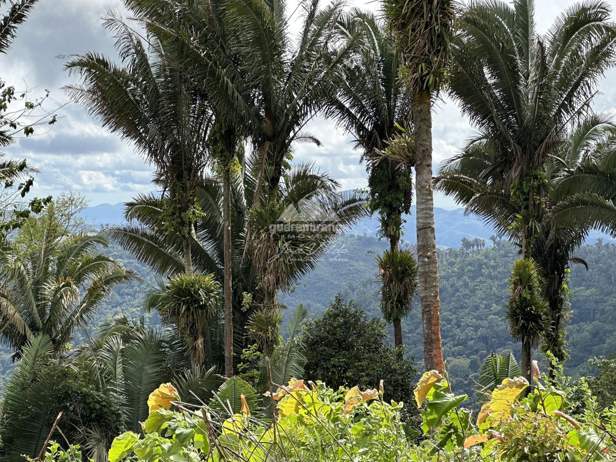 Sítio, 2 quartos, 20 hectares - Foto 15