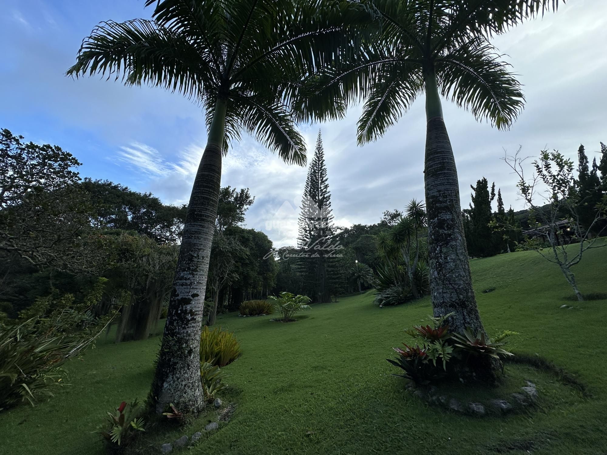 Sítio à venda com 6 quartos, 30000m² - Foto 74