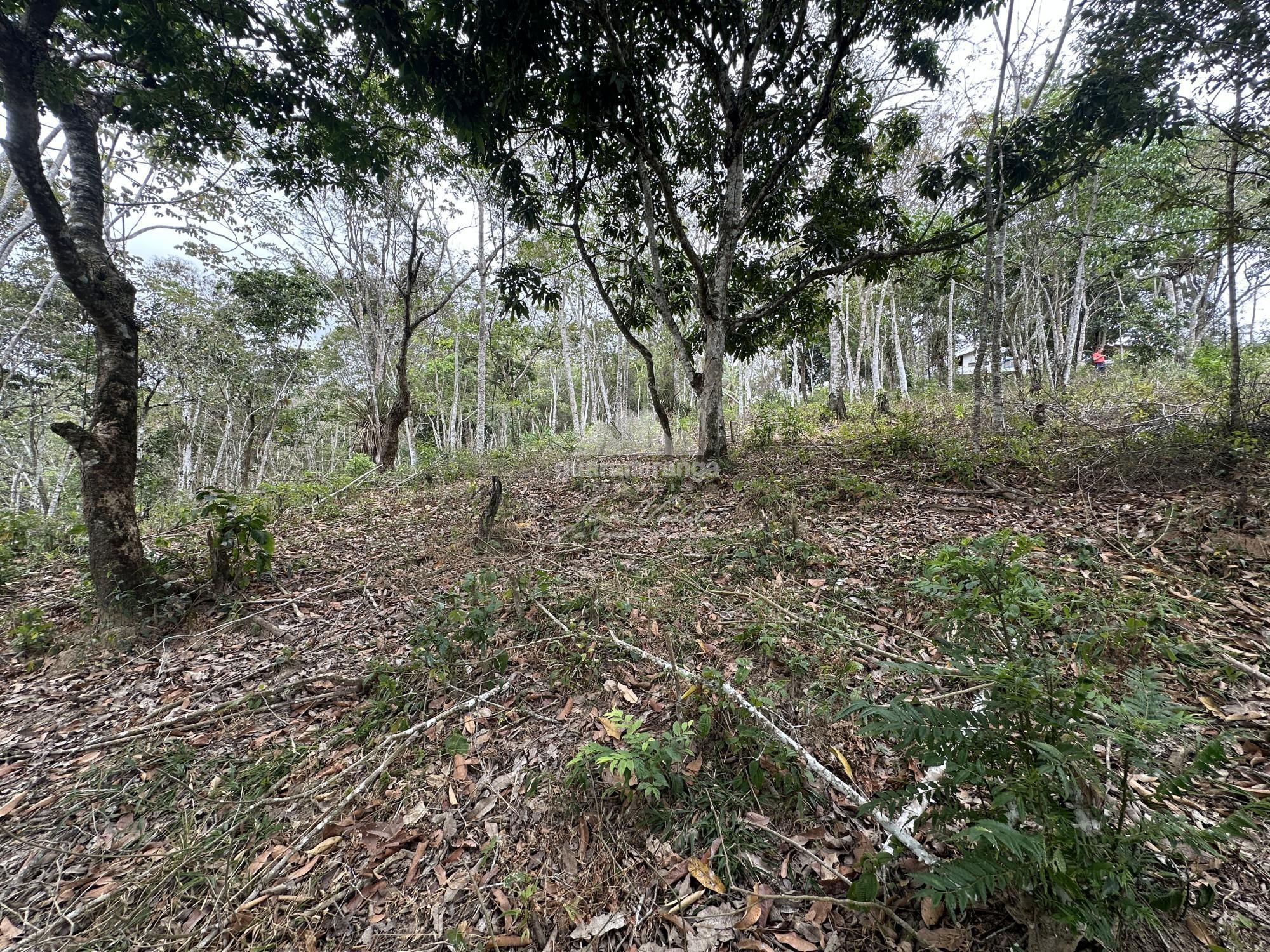 Terreno à venda, 589m² - Foto 12