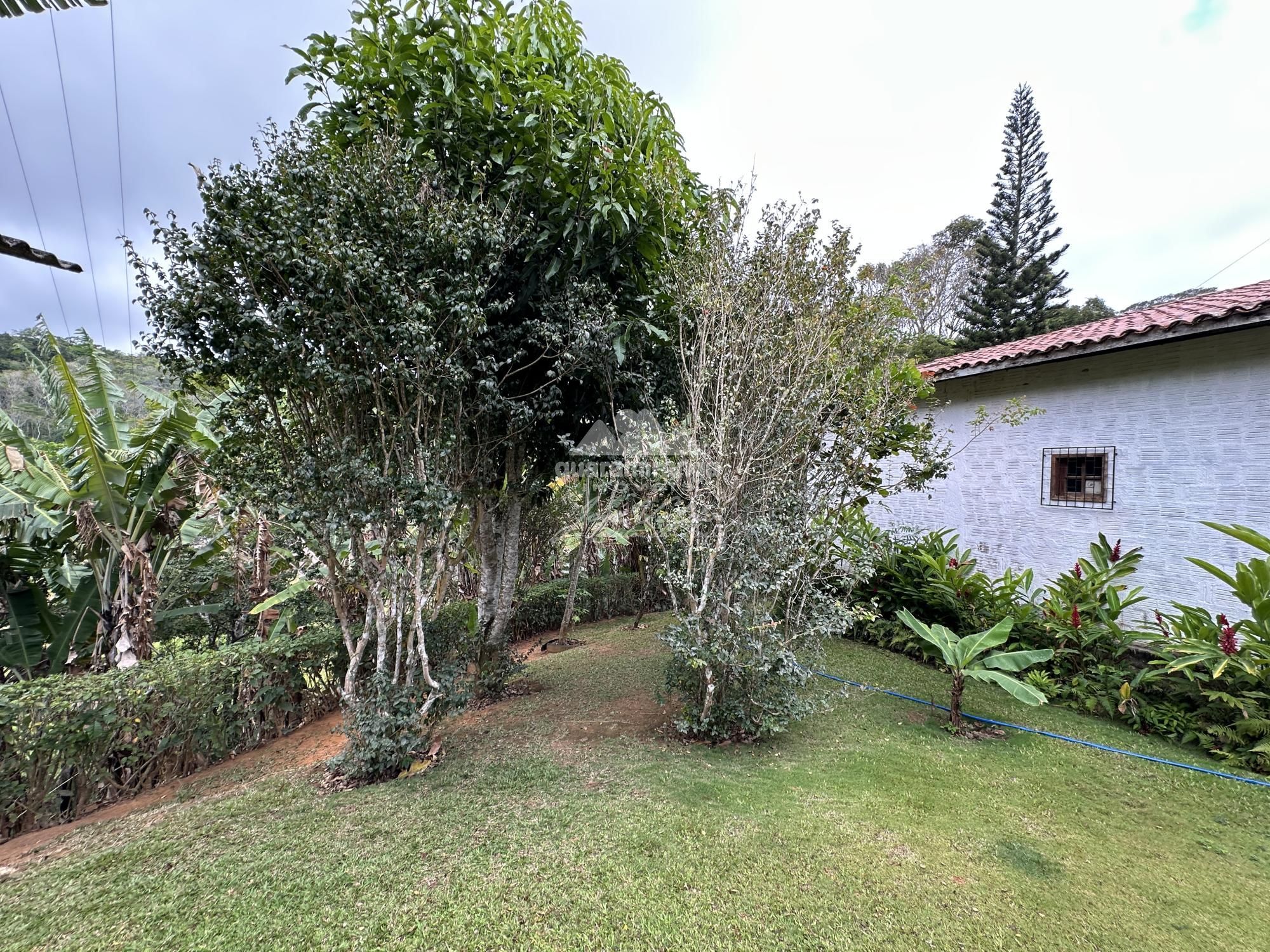 Chácara, 4 quartos, 10000 m² - Foto 46