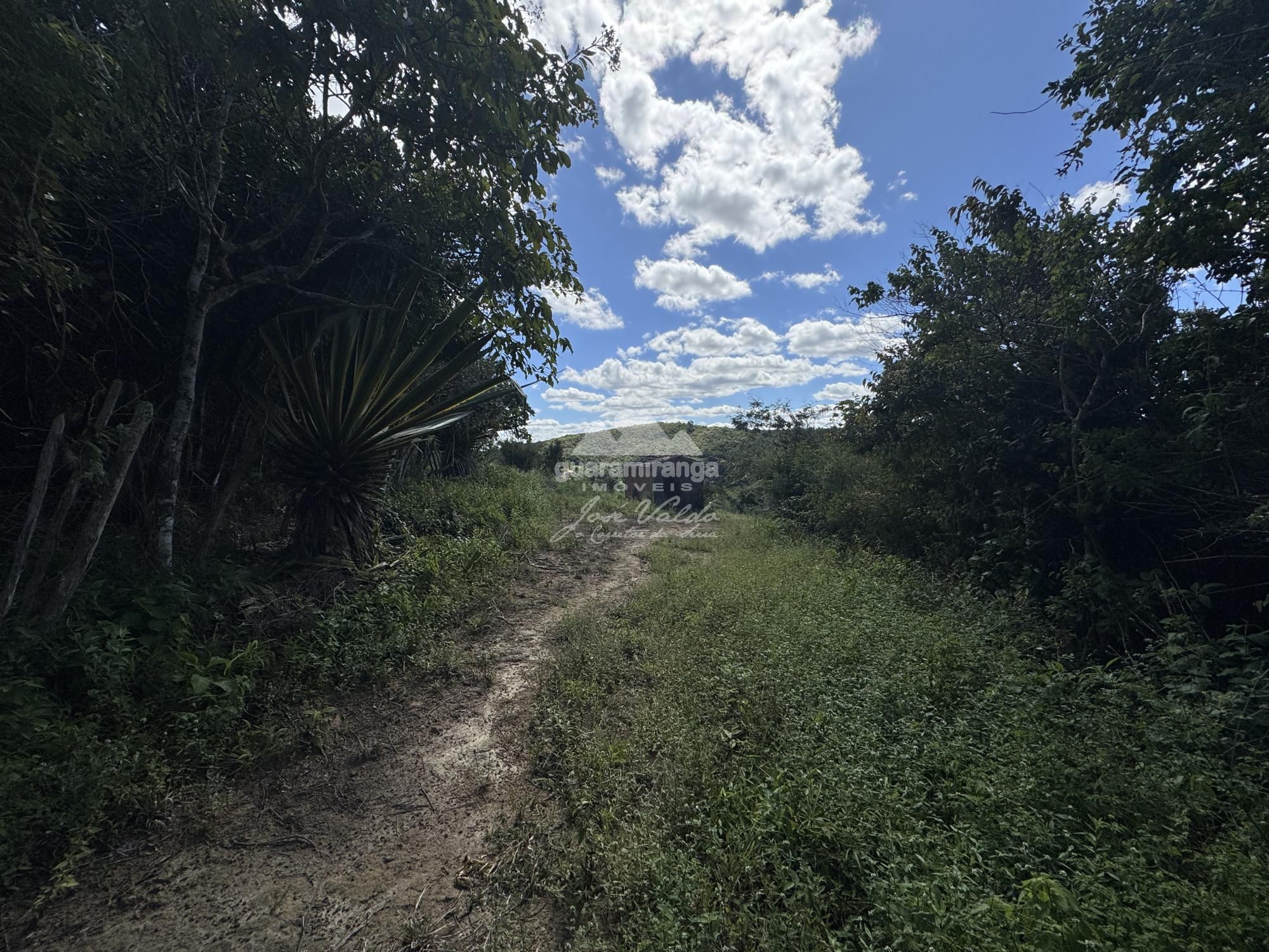 Terreno, 36 m² - Foto 22