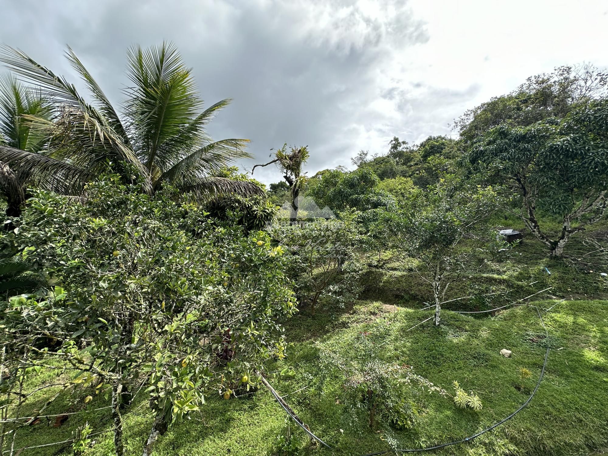 Sítio à venda com 2 quartos, 20000m² - Foto 14