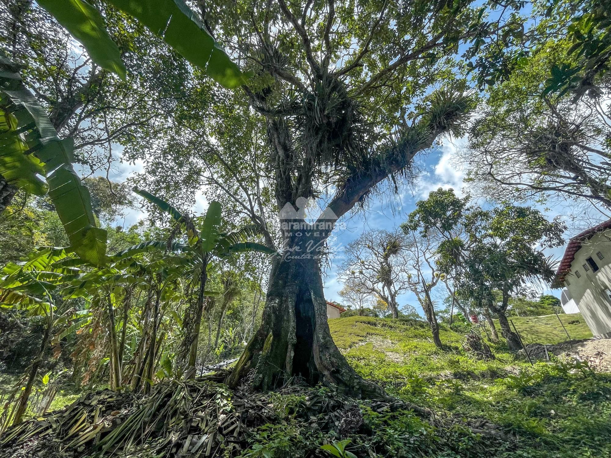 Sítio à venda com 1 quarto, 35000m² - Foto 26