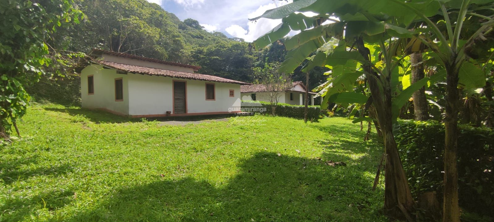 Sítio, 12 quartos, 60 hectares - Foto 21