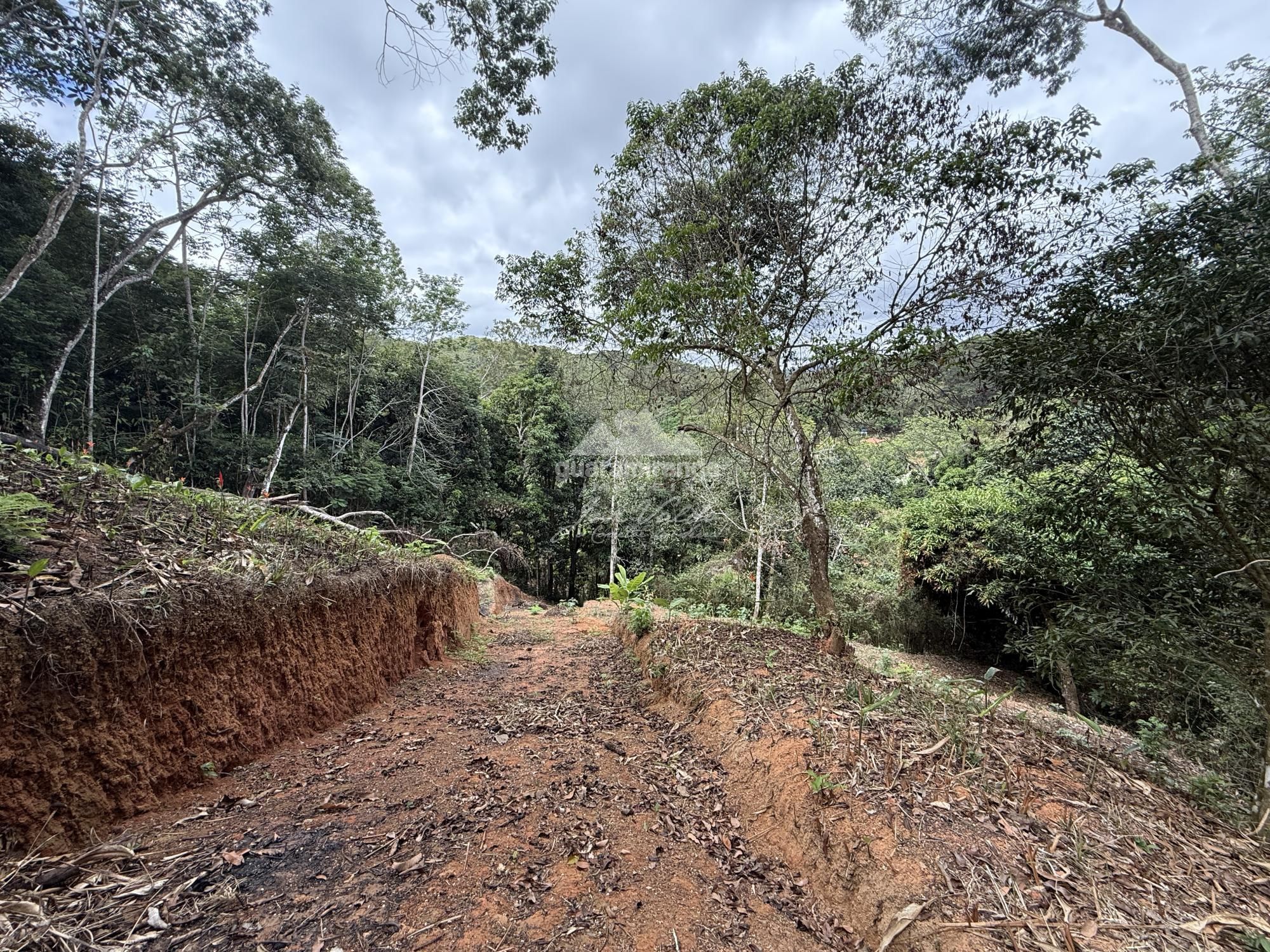 Terreno, 3744 m² - Foto 15