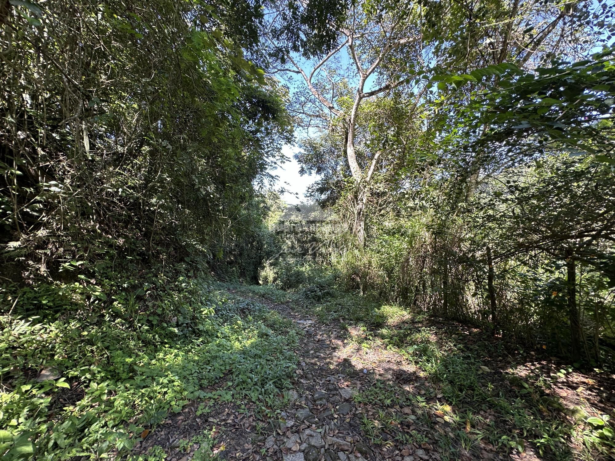 Sítio, 4 quartos, 22 hectares - Foto 52