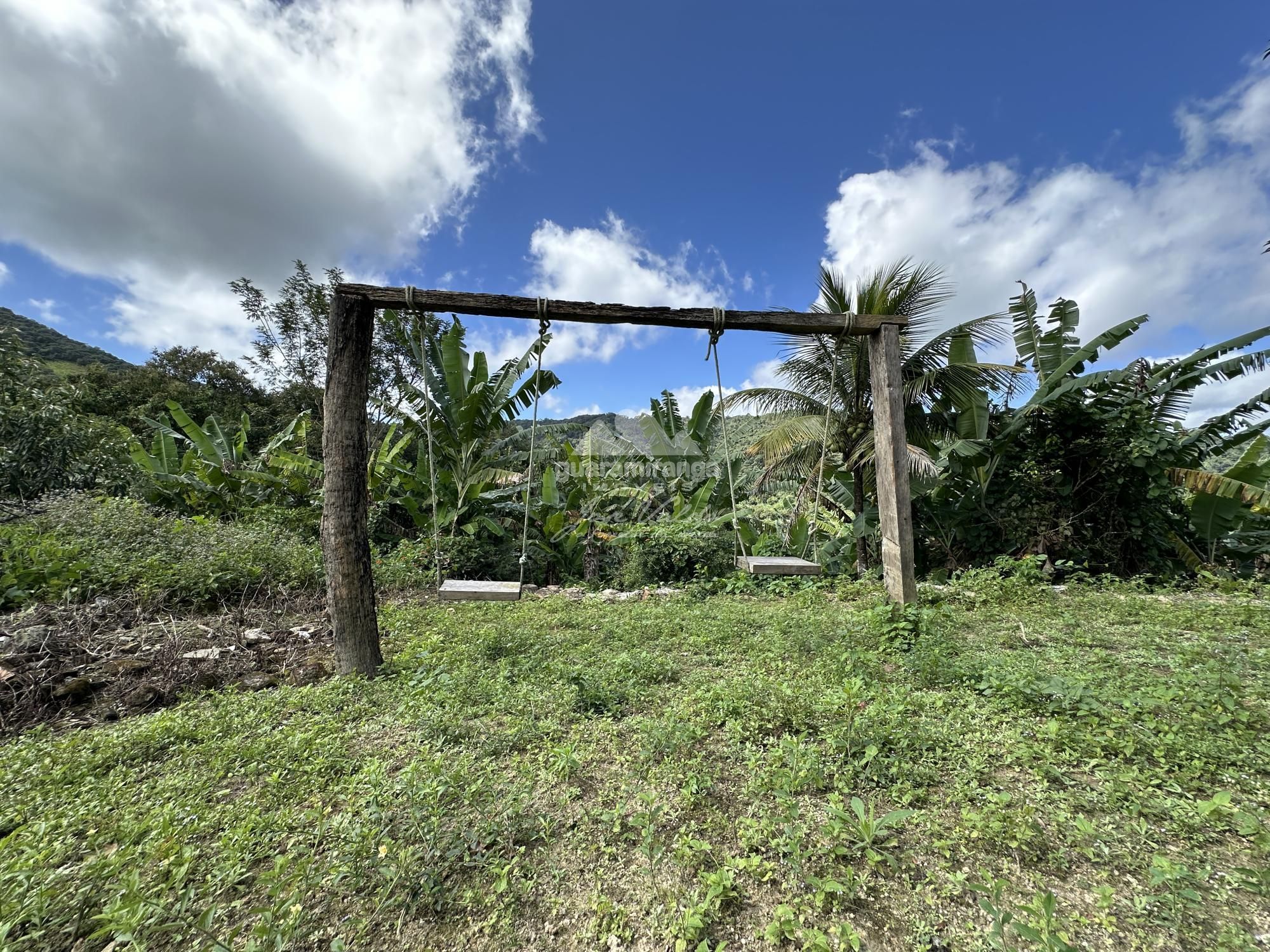 Sítio, 4 quartos, 22 hectares - Foto 33