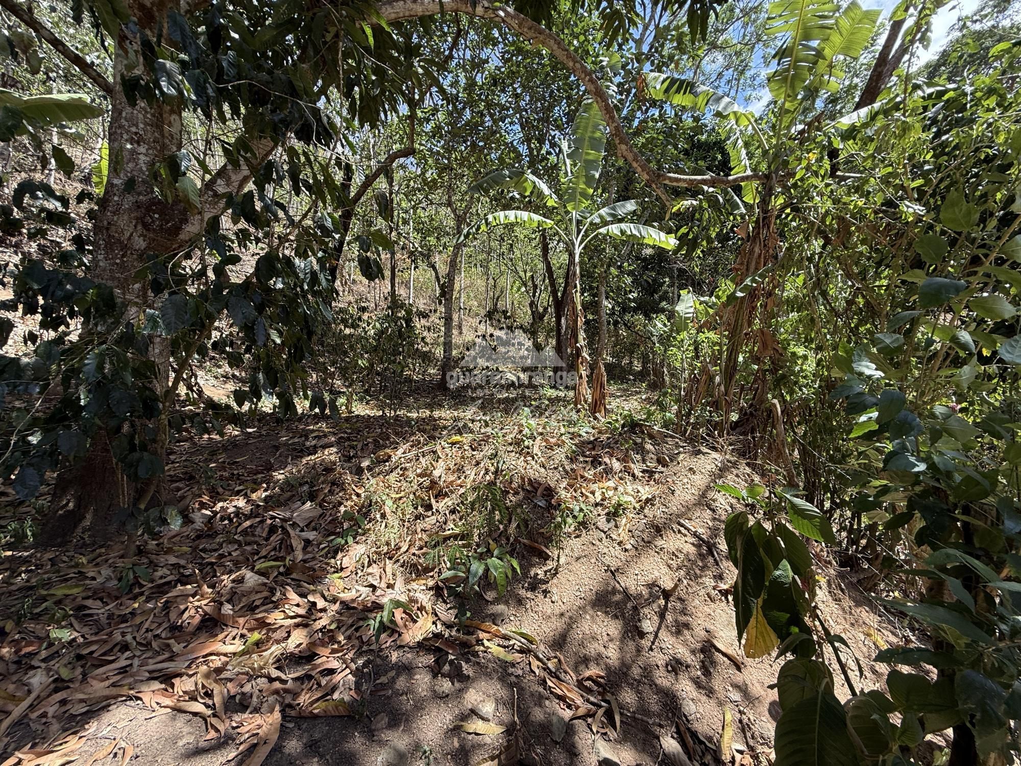 Sítio, 4 quartos, 180 m² - Foto 61