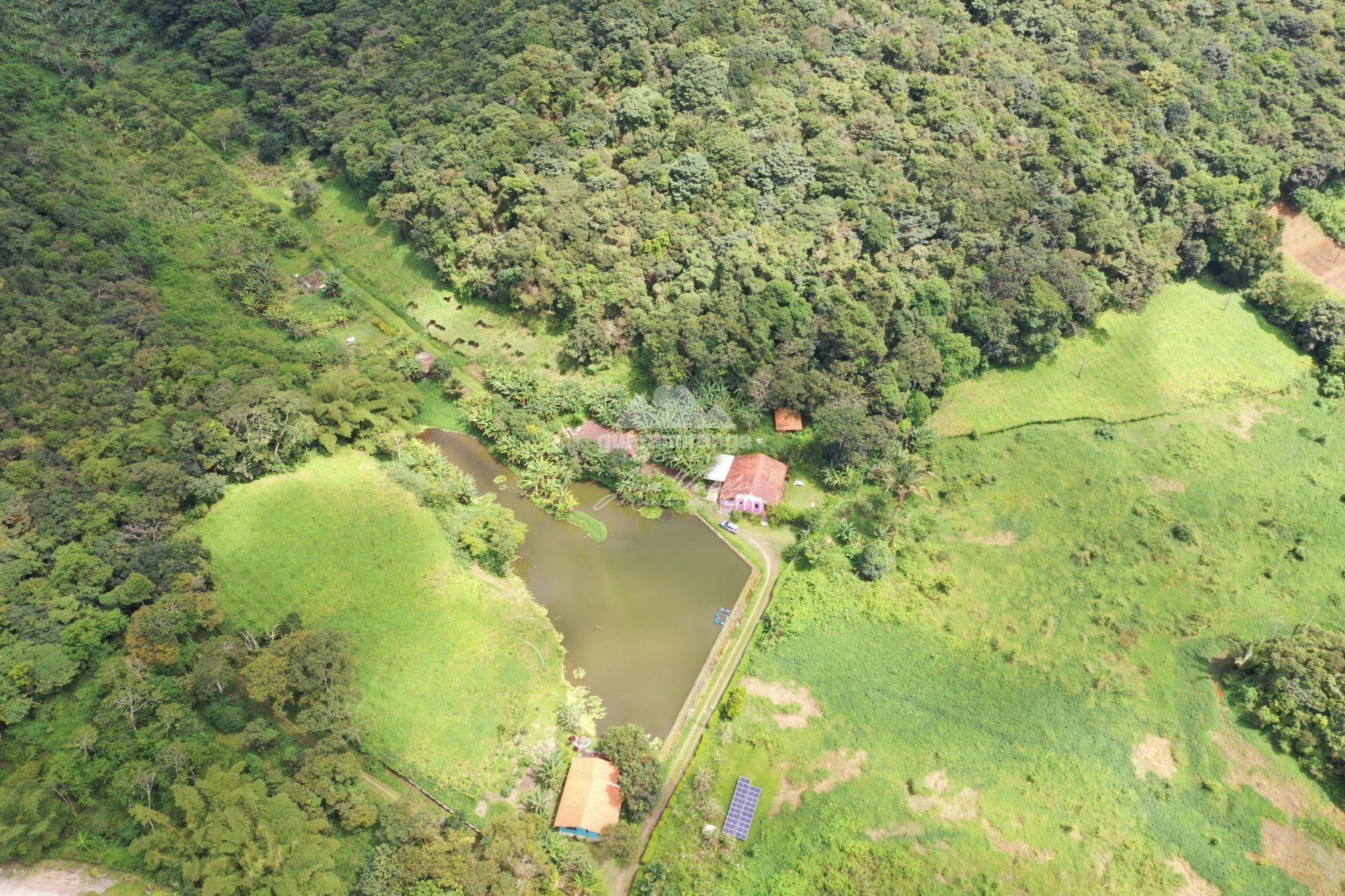 Sítio, 7 quartos, 31 hectares - Foto 19