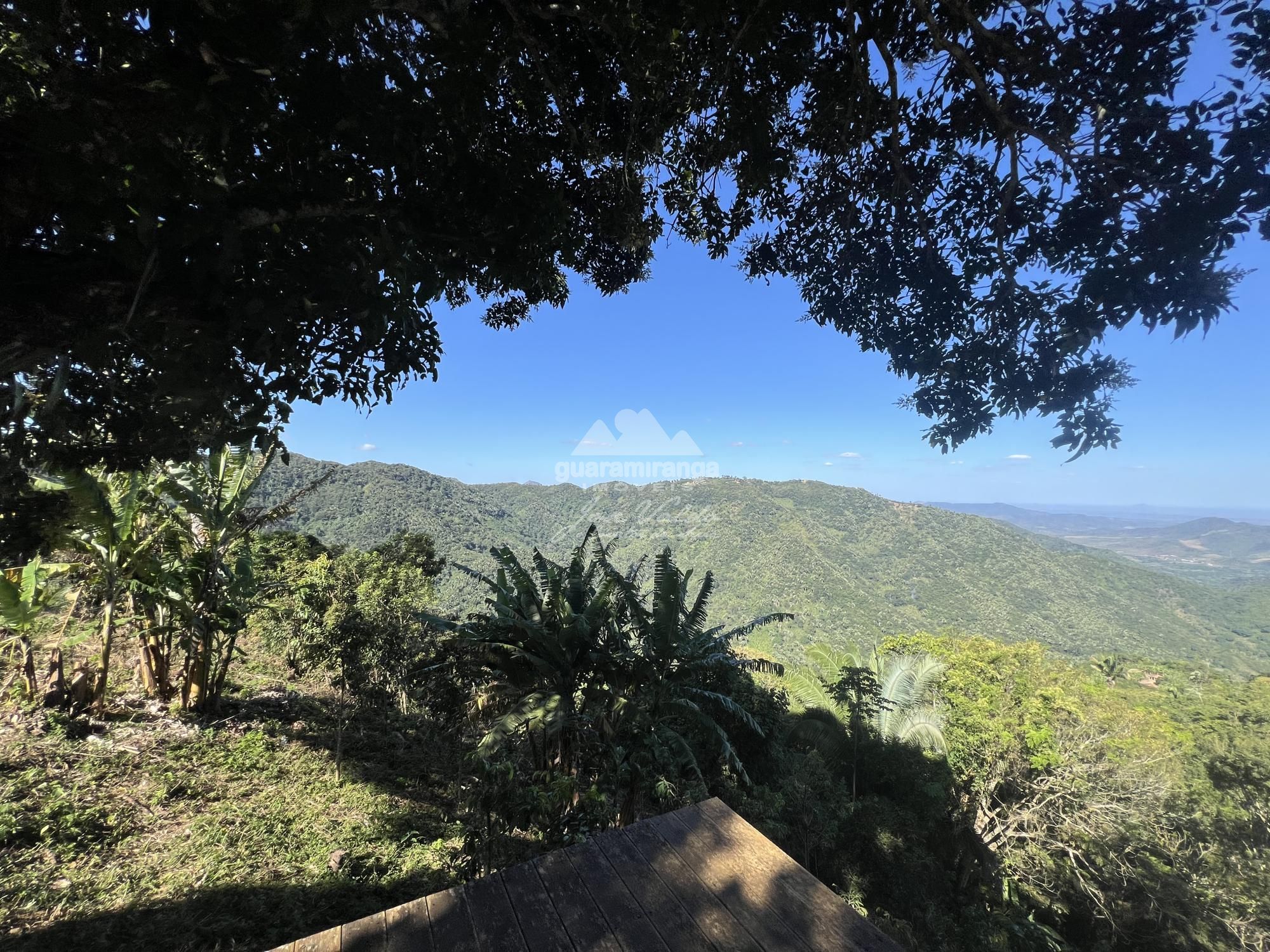 Sítio, 4 quartos, 4 hectares - Foto 46