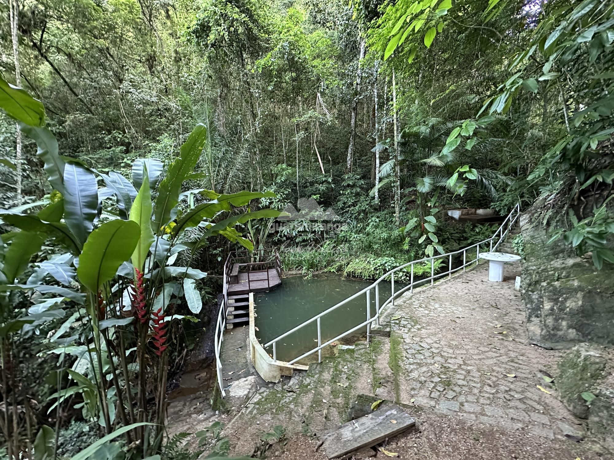 Sítio à venda com 5 quartos, 462m² - Foto 31