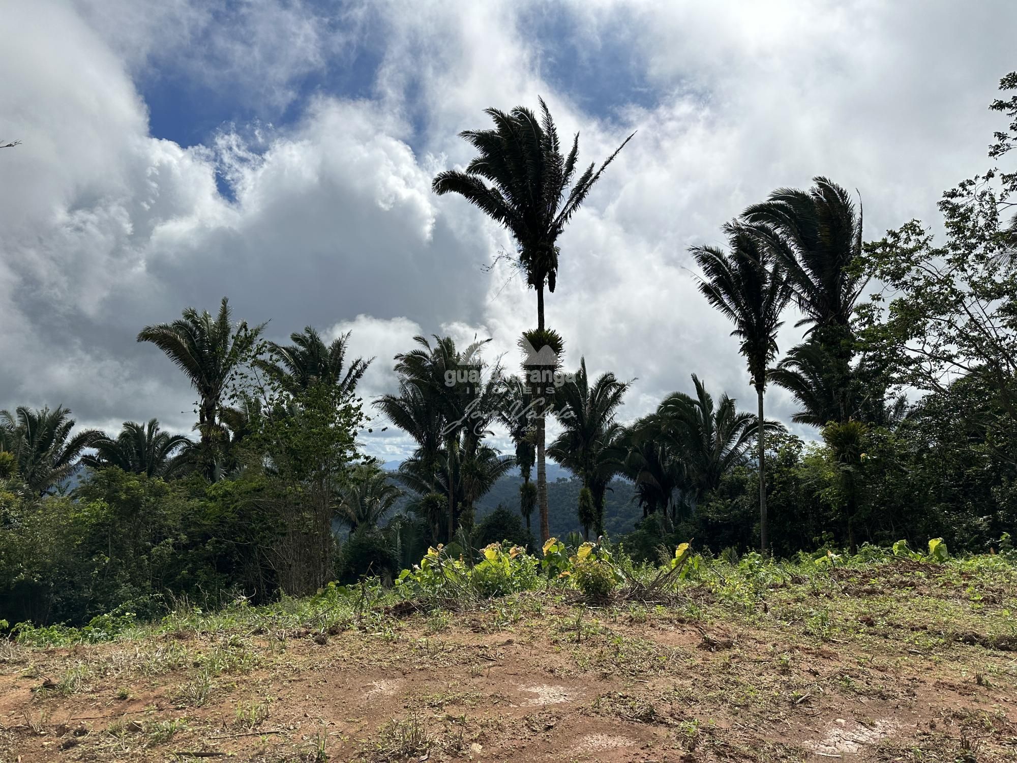 Sítio, 2 quartos, 20 hectares - Foto 14