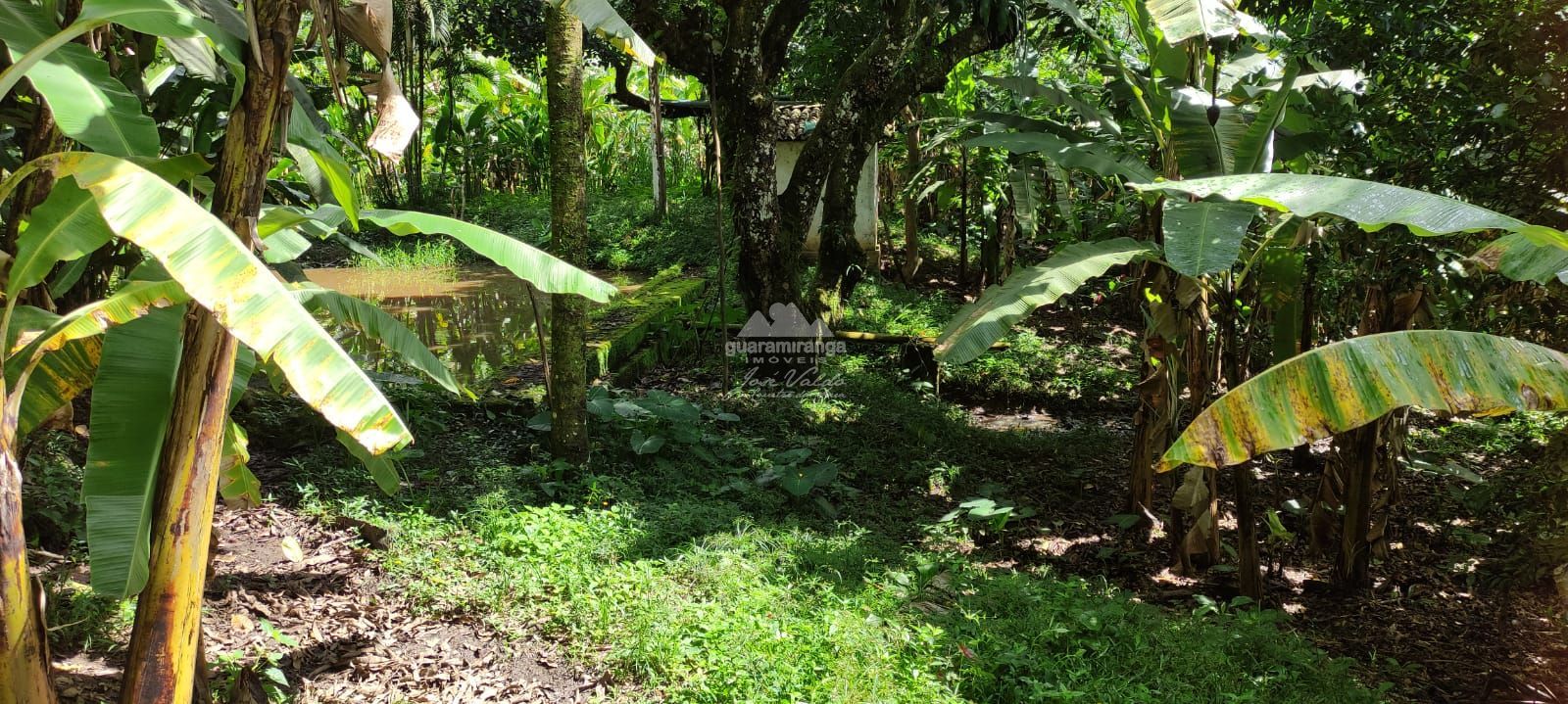 Sítio, 12 quartos, 60 hectares - Foto 19