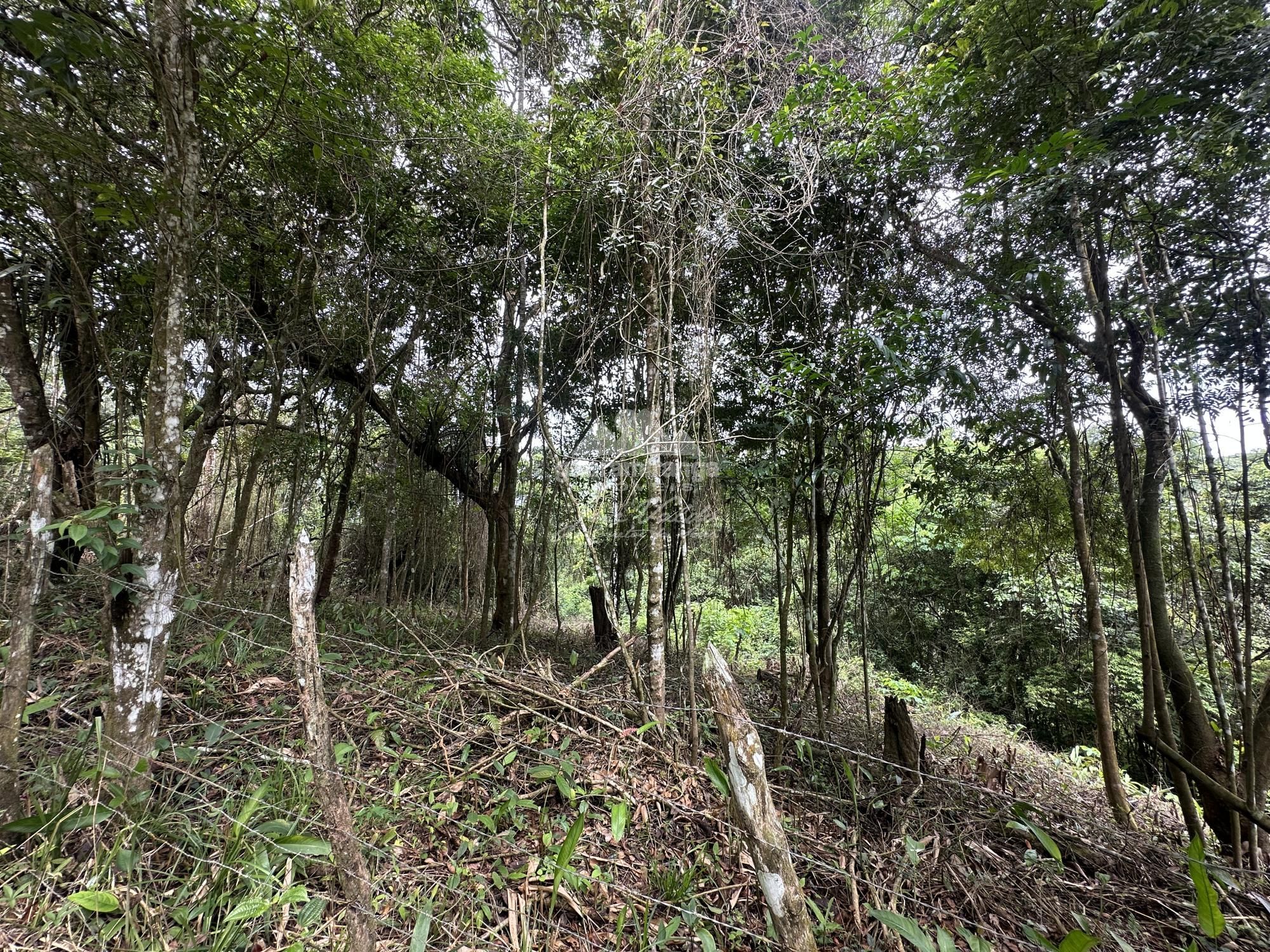 Terreno, 7595 m² - Foto 25