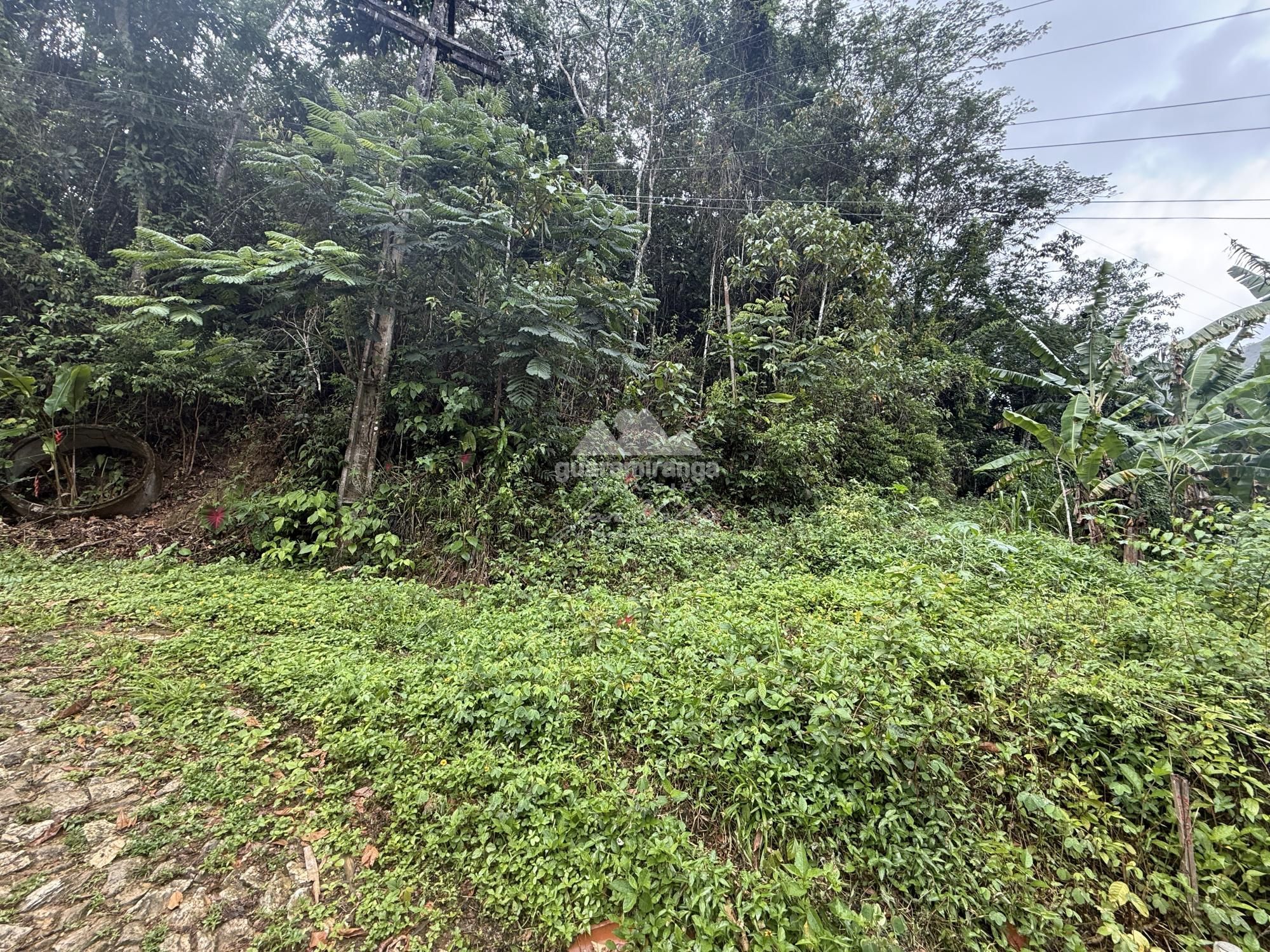 Sítio, 2 quartos, 26 hectares - Foto 25