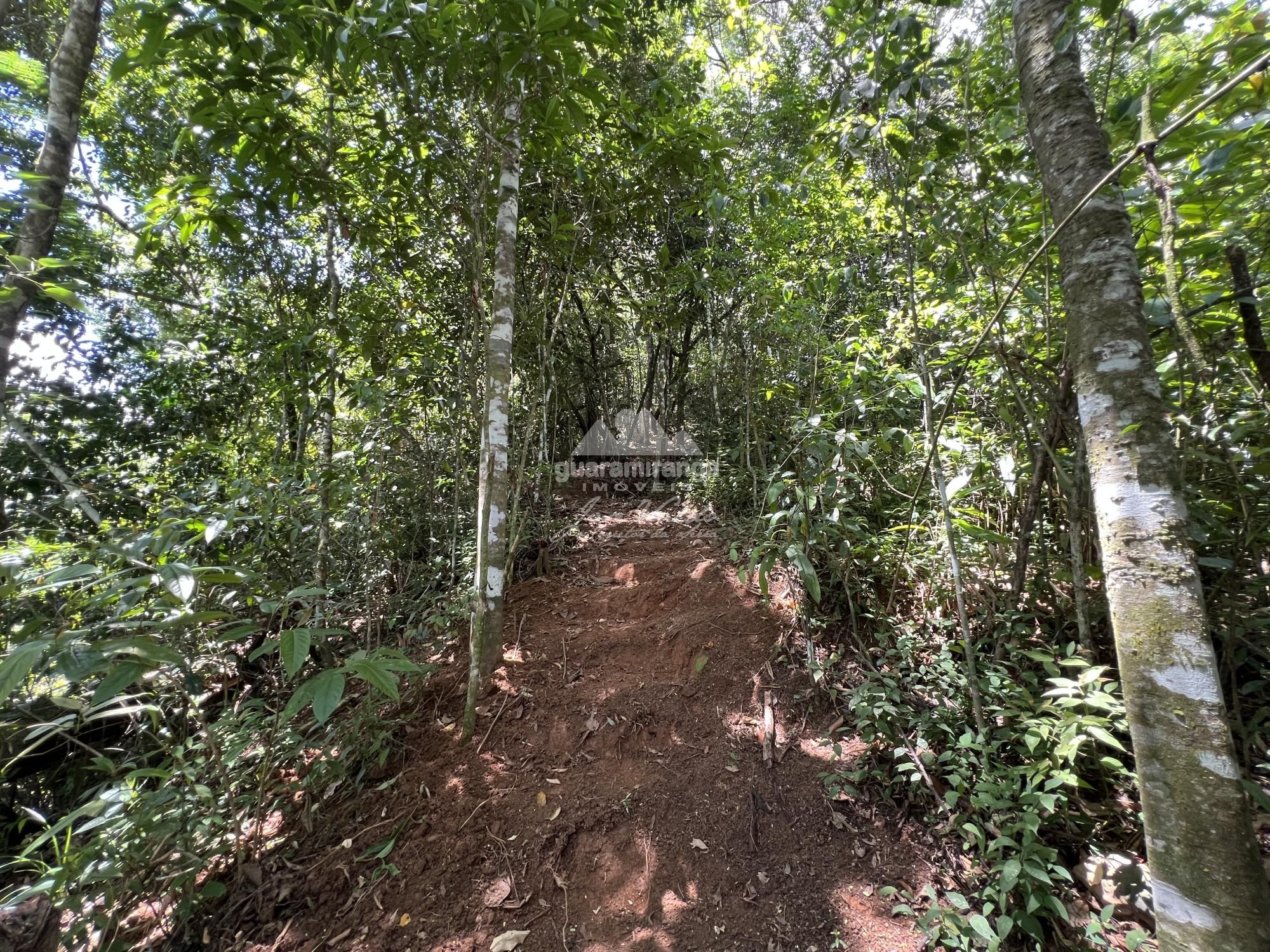 Sítio, 2 quartos, 26 hectares - Foto 27