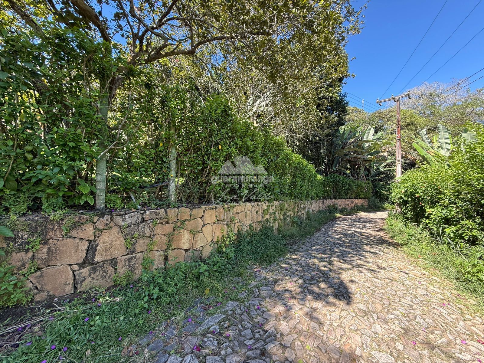 Chácara, 4 quartos, 6332 m² - Foto 11