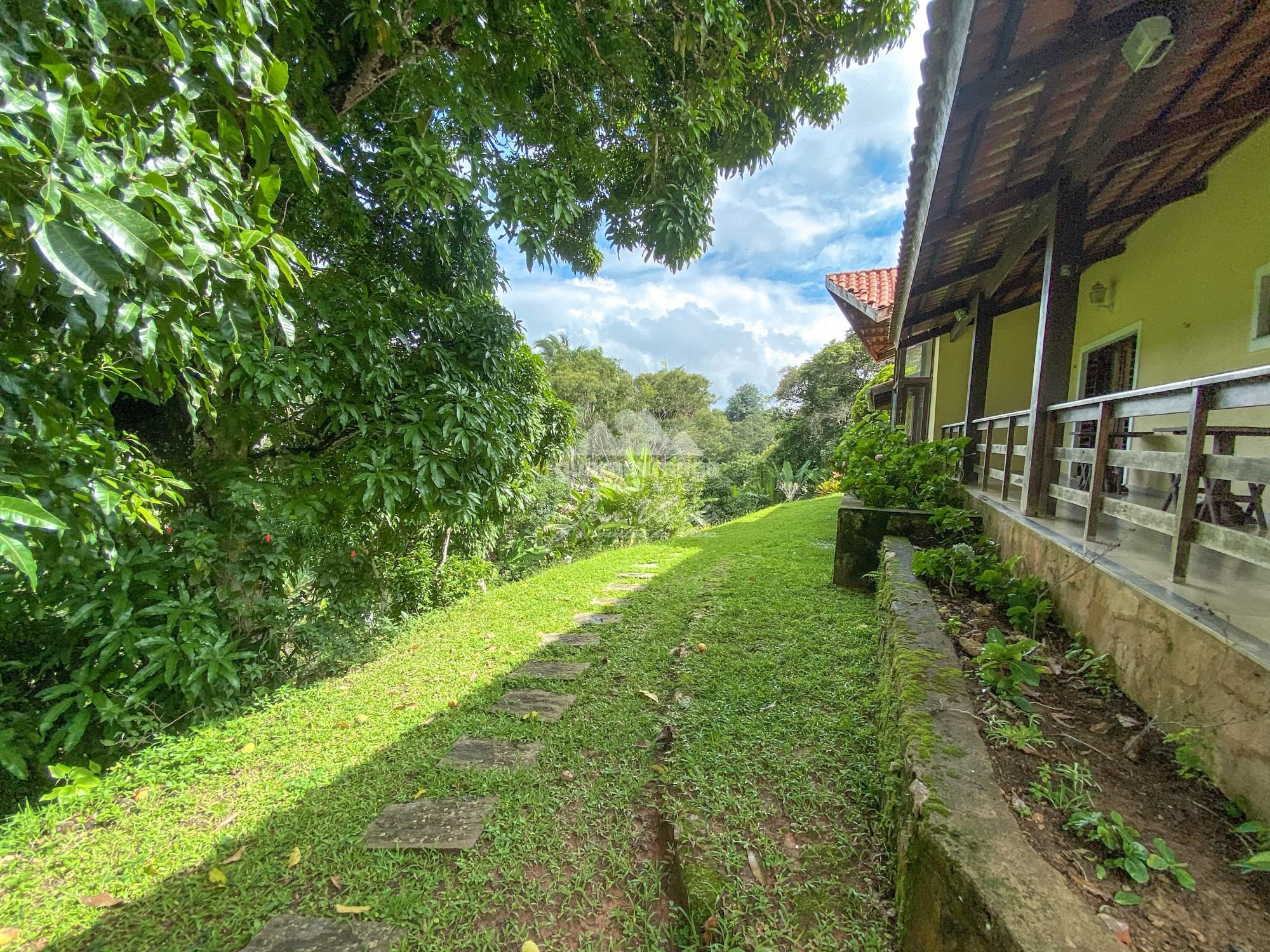 Sítio à venda com 4 quartos, 42000m² - Foto 44