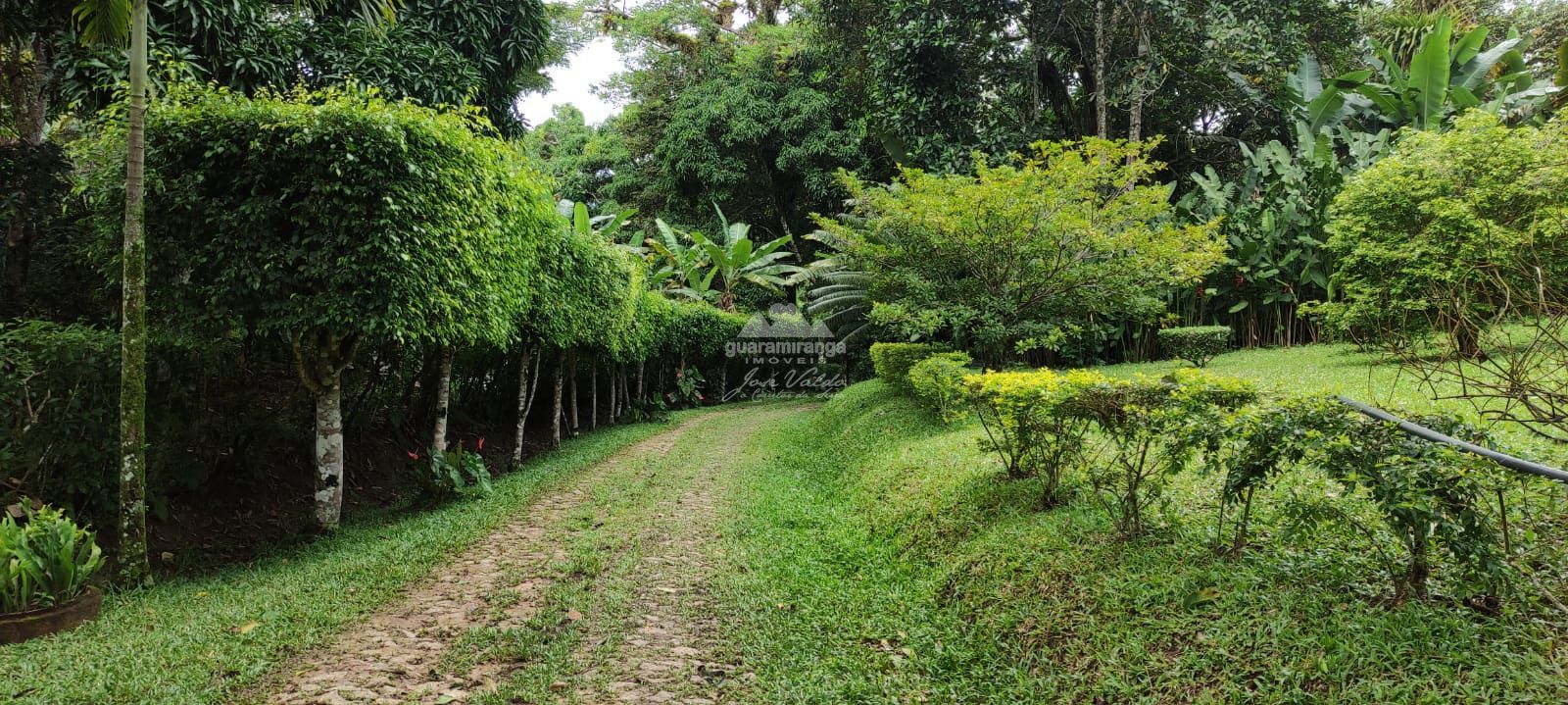 Sítio, 12 quartos, 60 hectares - Foto 12