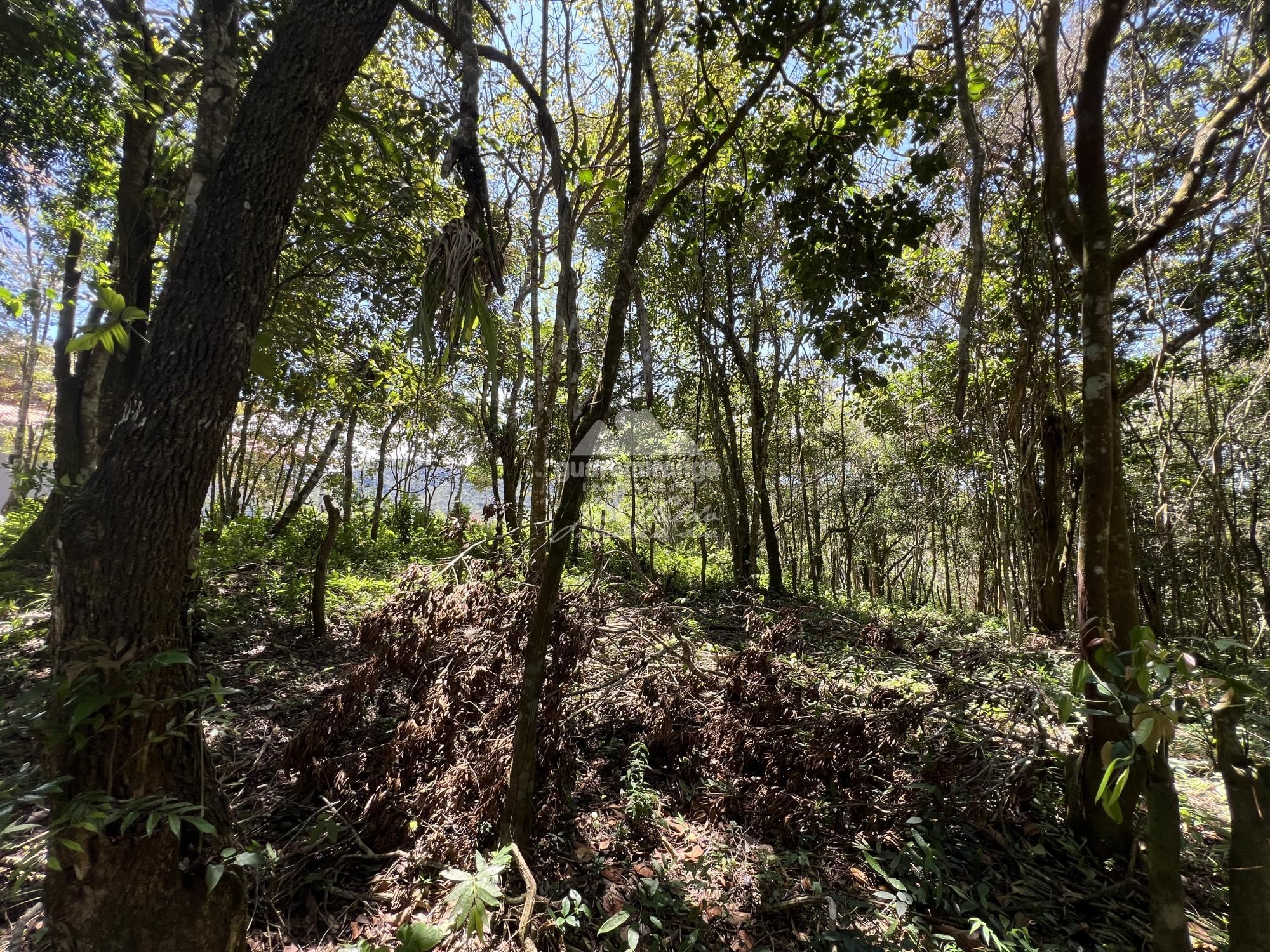 Terreno à venda, 1200m² - Foto 7